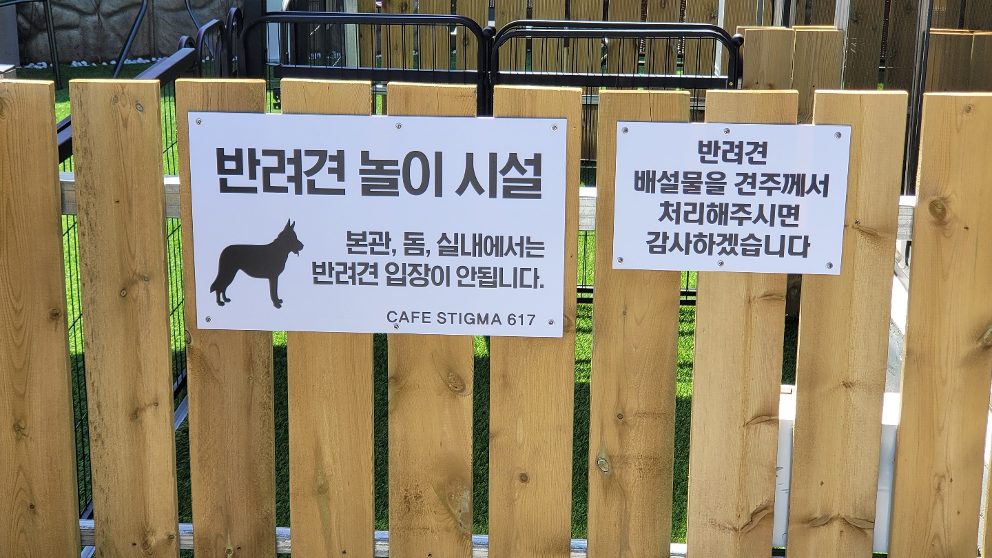 스티그마617