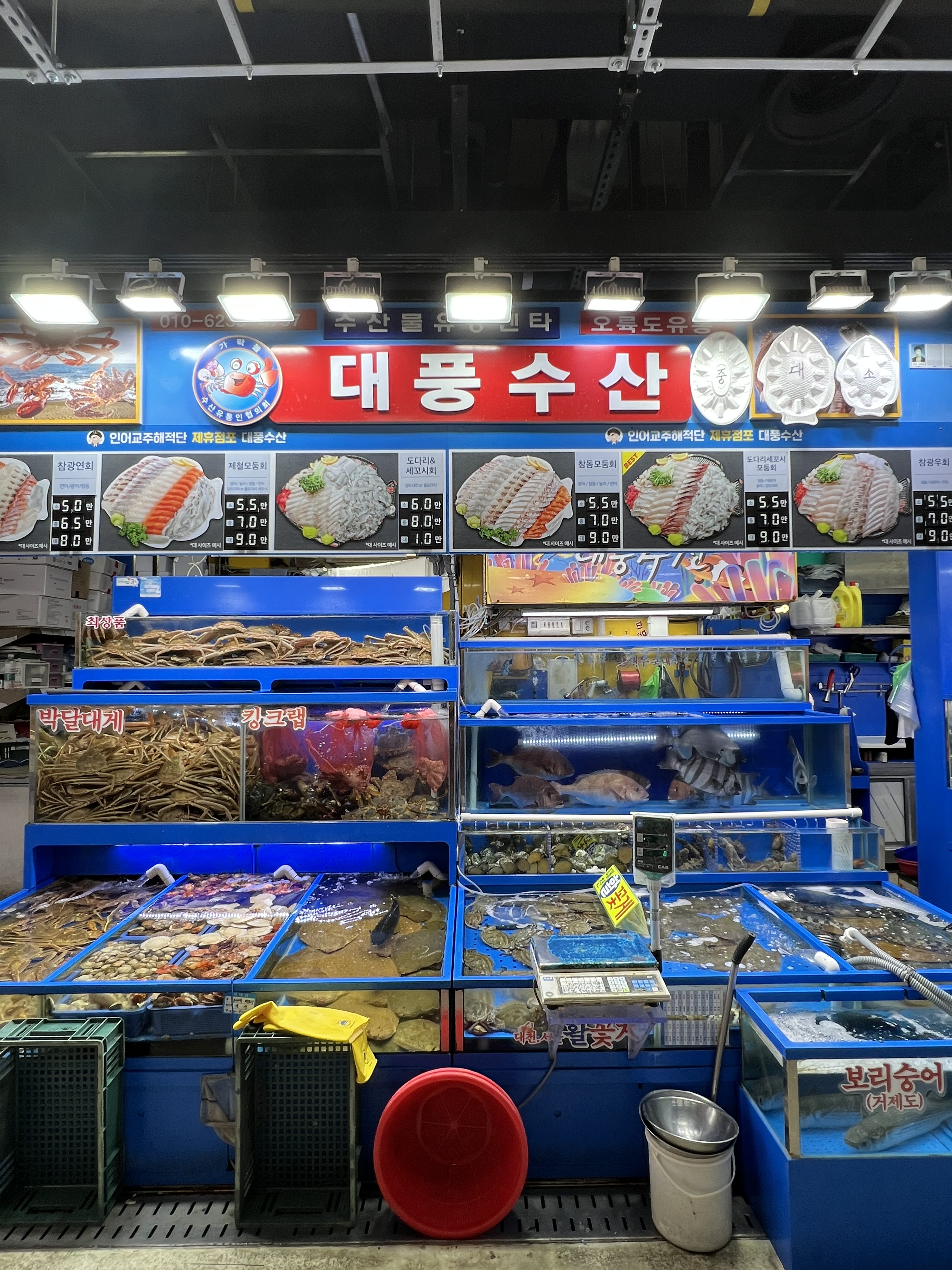대풍수산