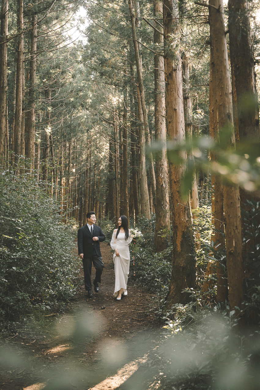 필레코드 대표 이미지