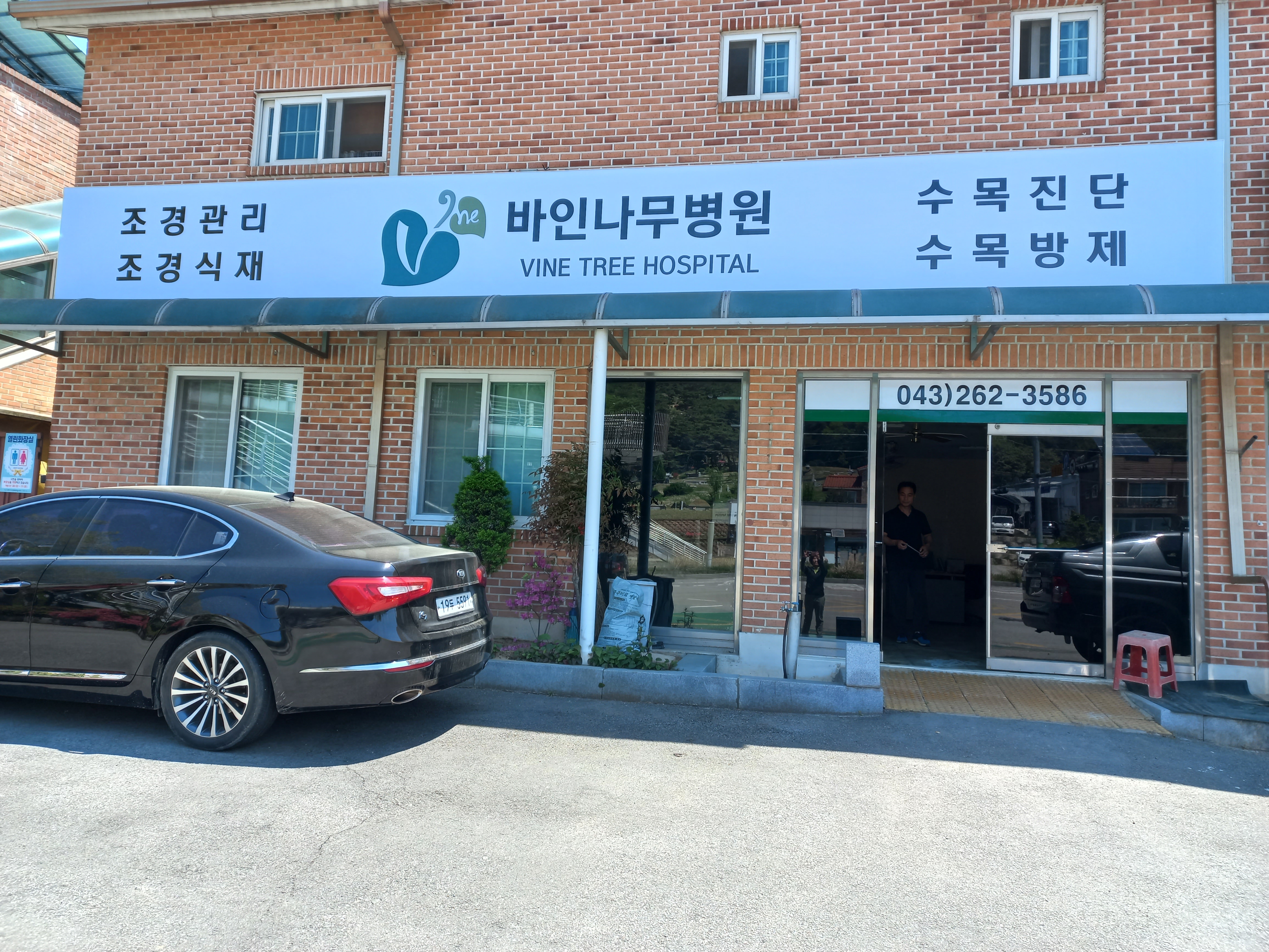 바인나무병원