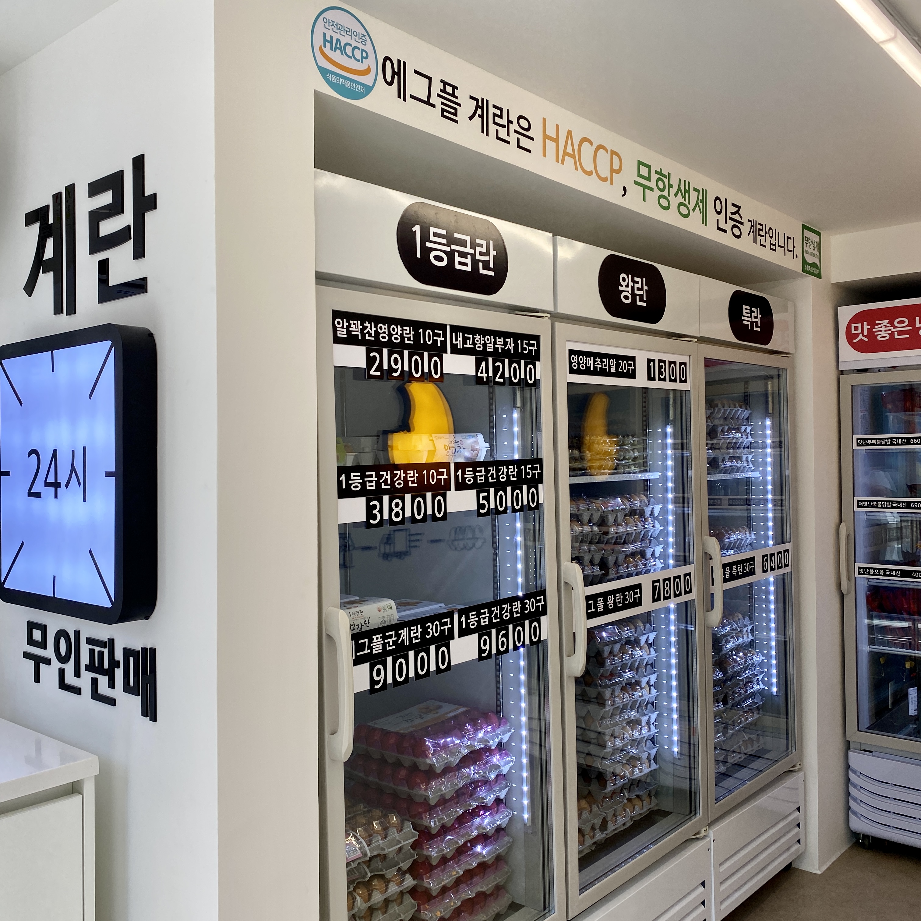 에그플 고양점