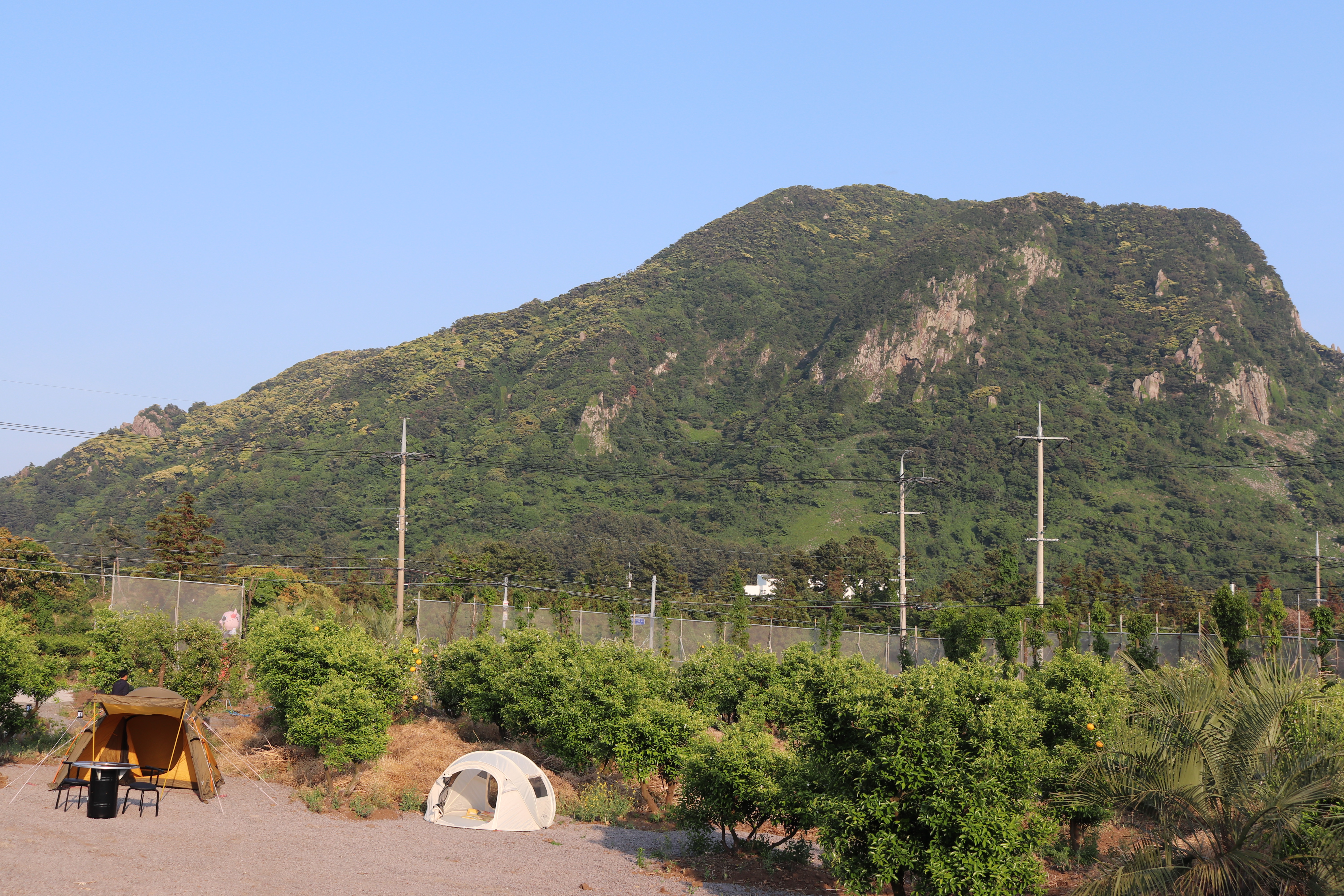 사계흑돼지 산방산본점 2