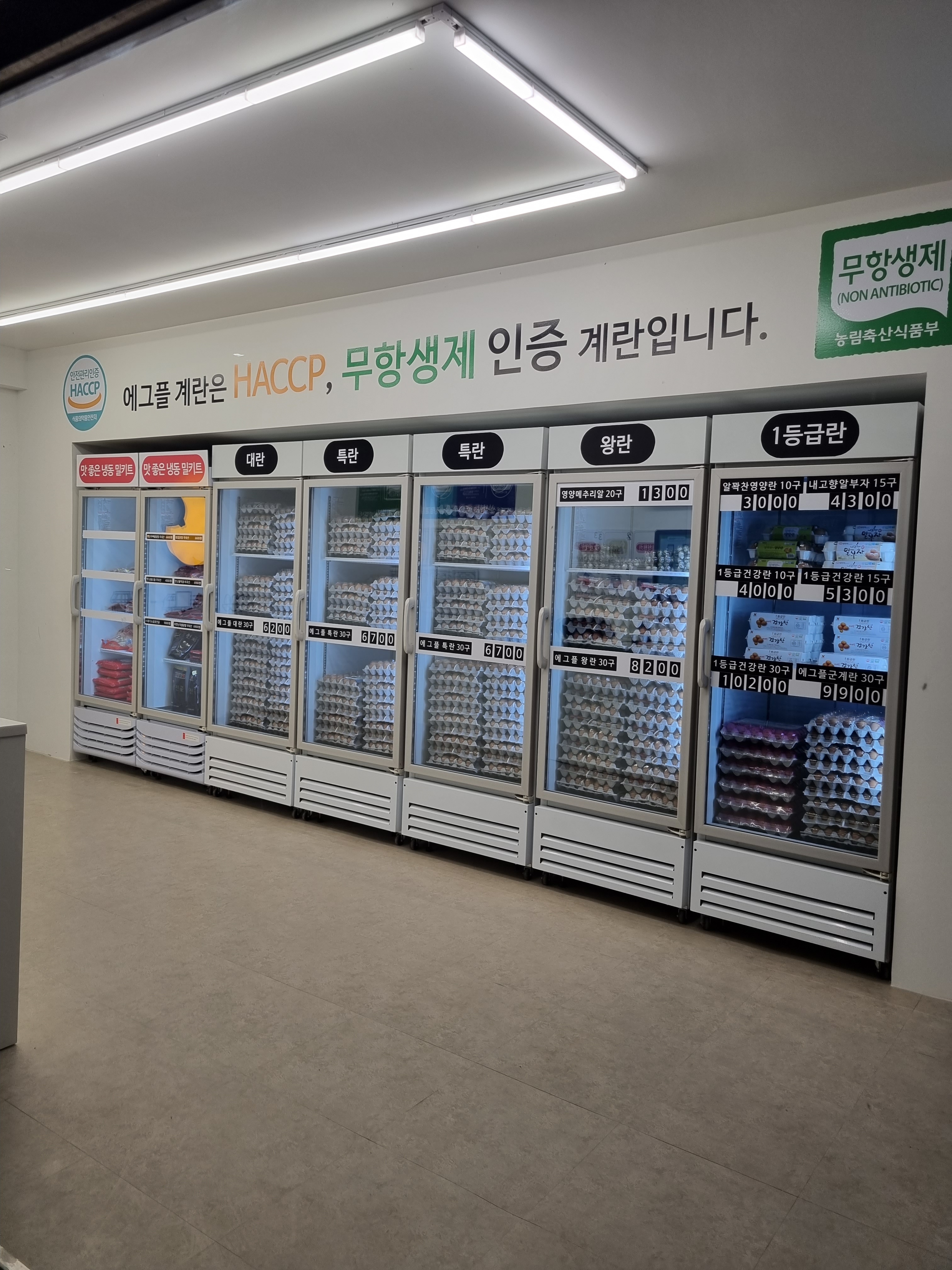 에그플 가락점
