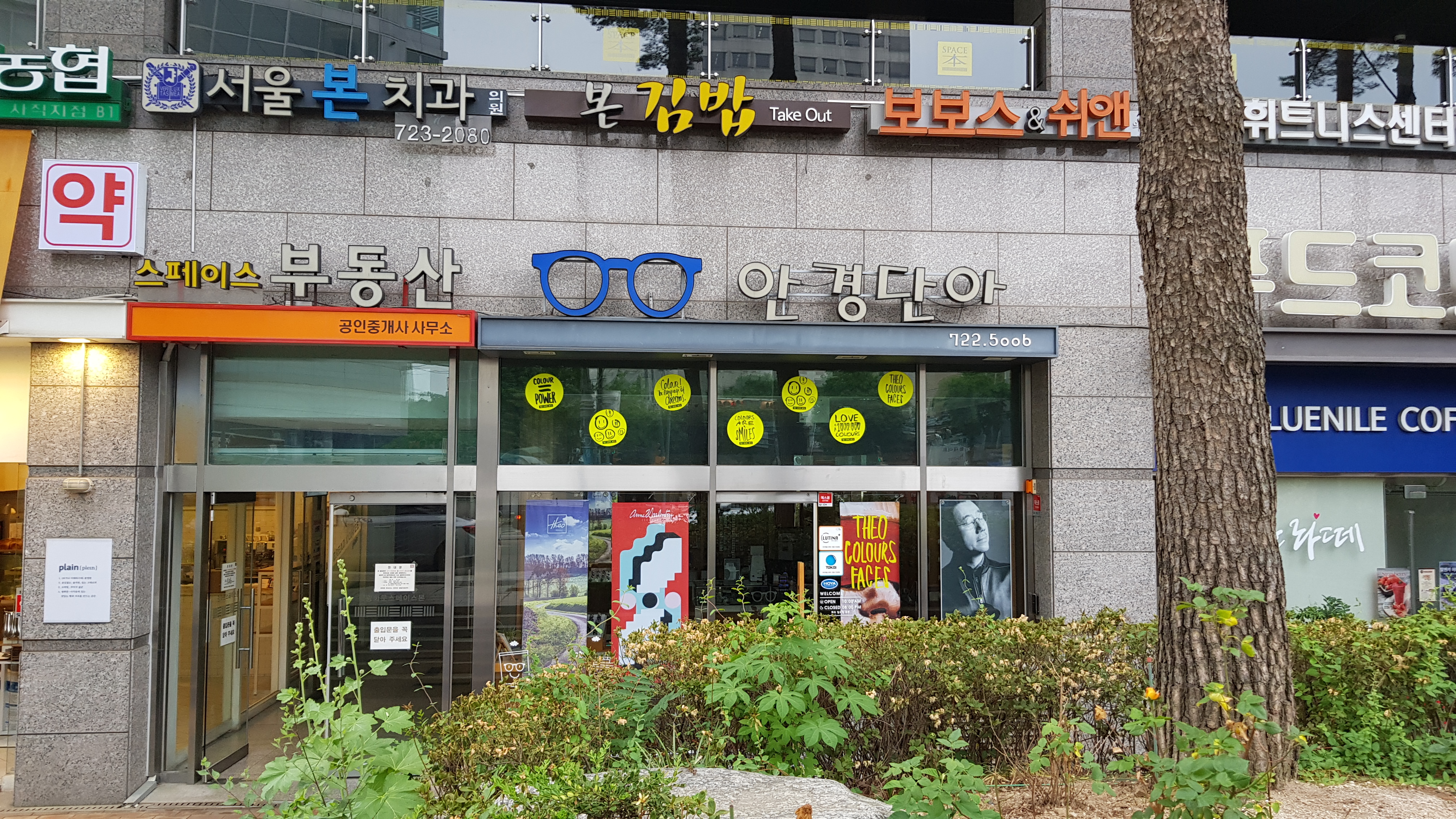 안경단아 대표 이미지