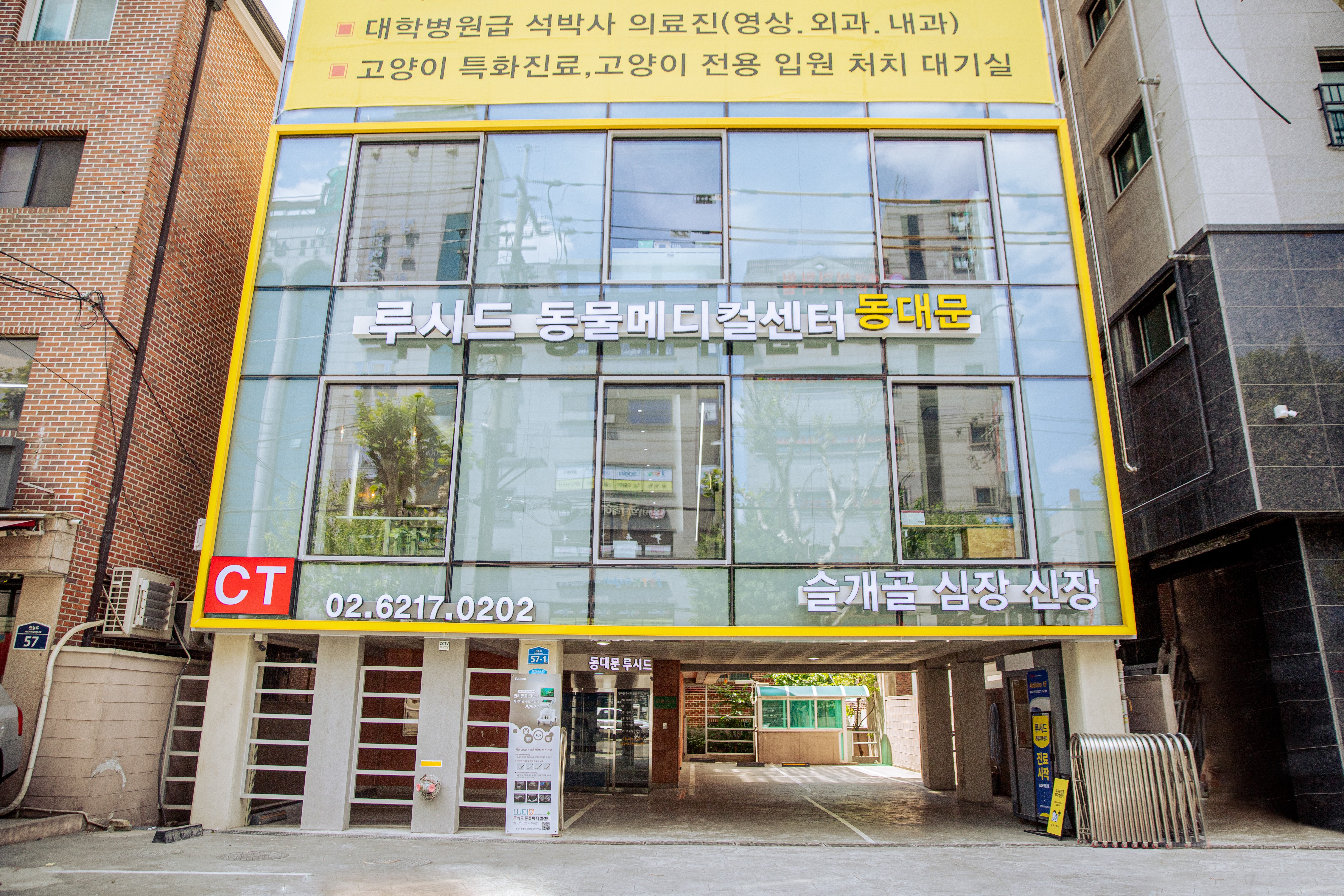 24시 루시드동물메디컬센터 동대문점 대표 이미지