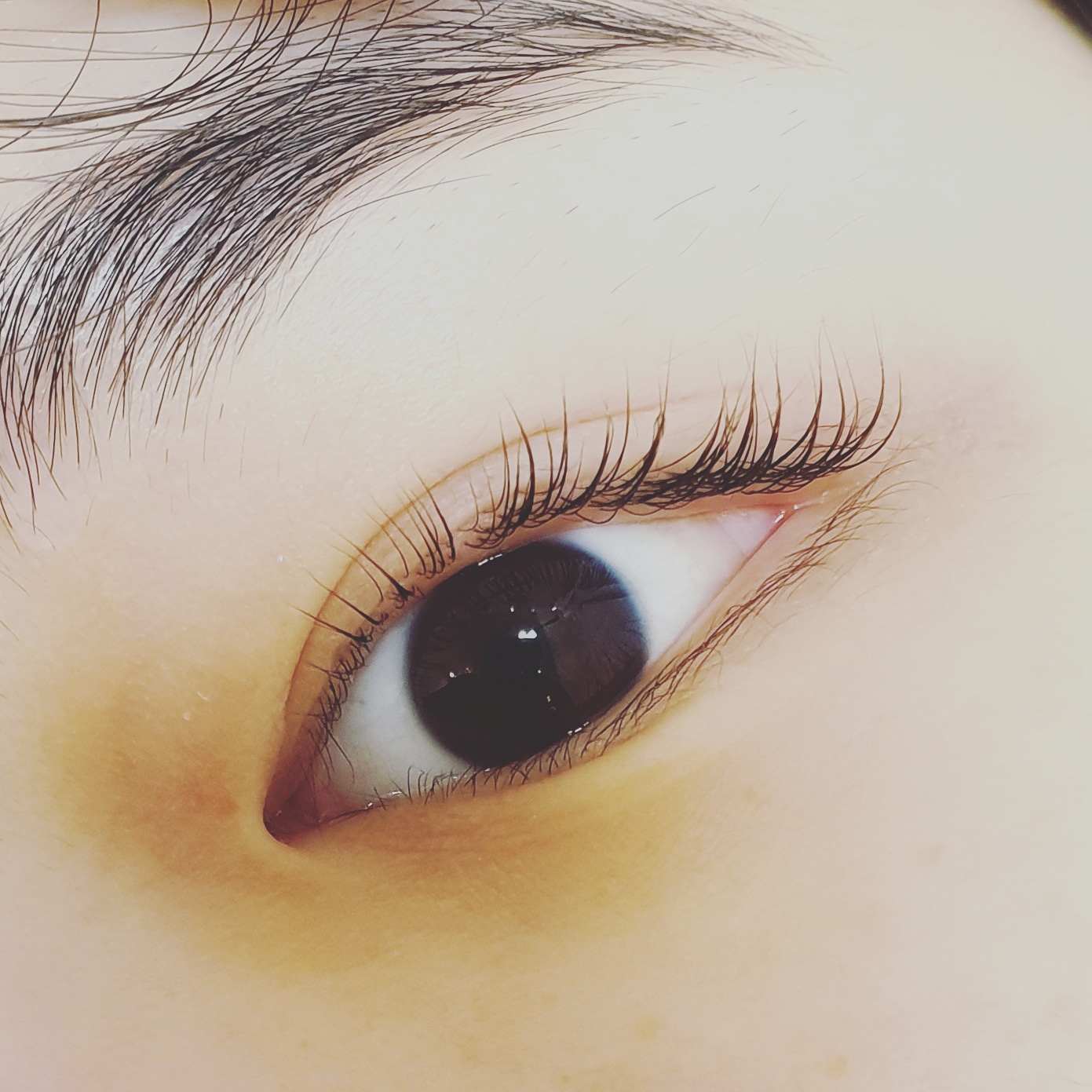 래쉬살롱 대표 이미지