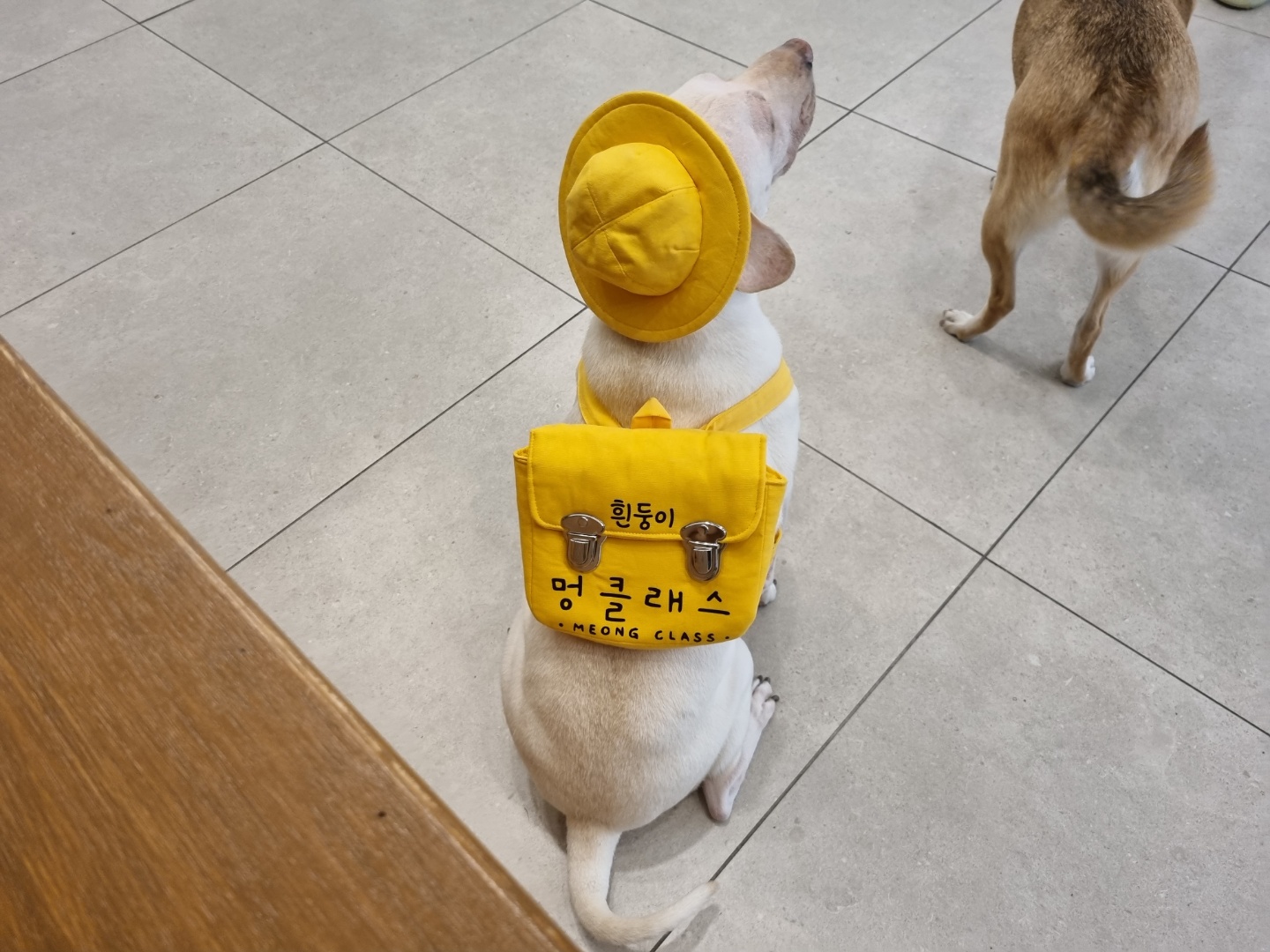 주변 가볼만한 곳