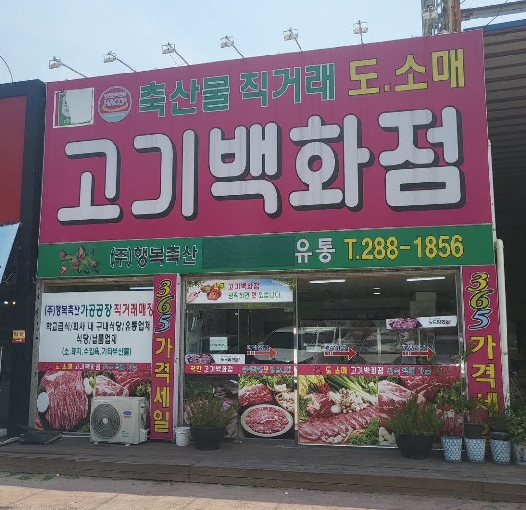 로데오고기백화점