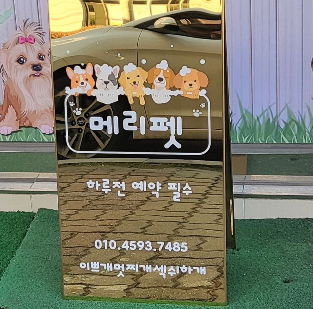 애견미용SHOP메리펫 대표 이미지