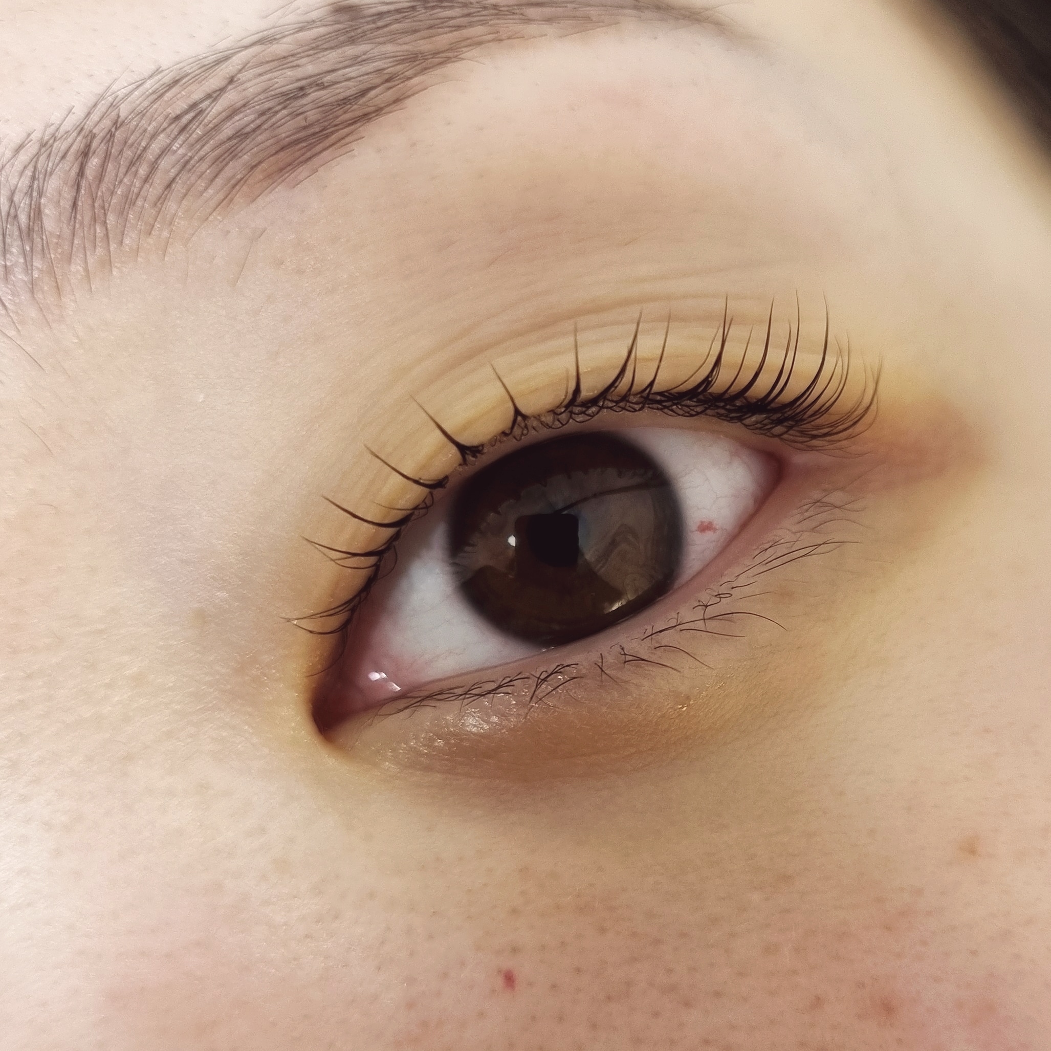 래쉬살롱 대표 이미지