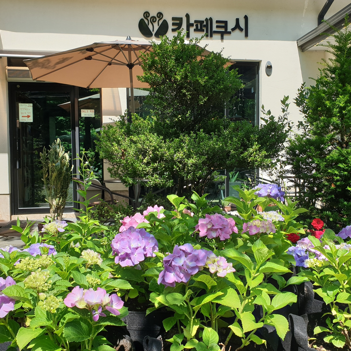 카페쿠시 물레방아집 설명사진
