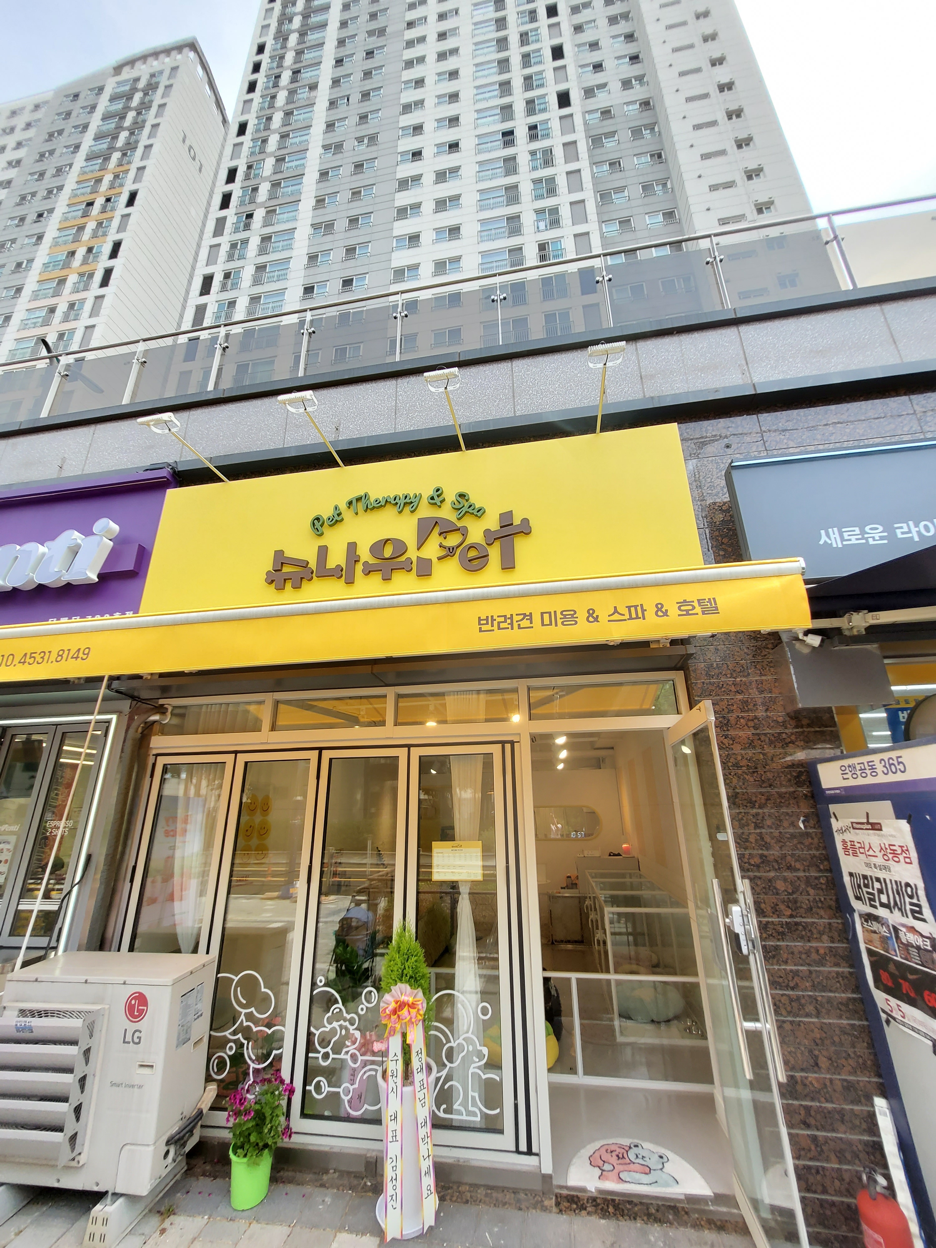 슈나우펫 대표 이미지