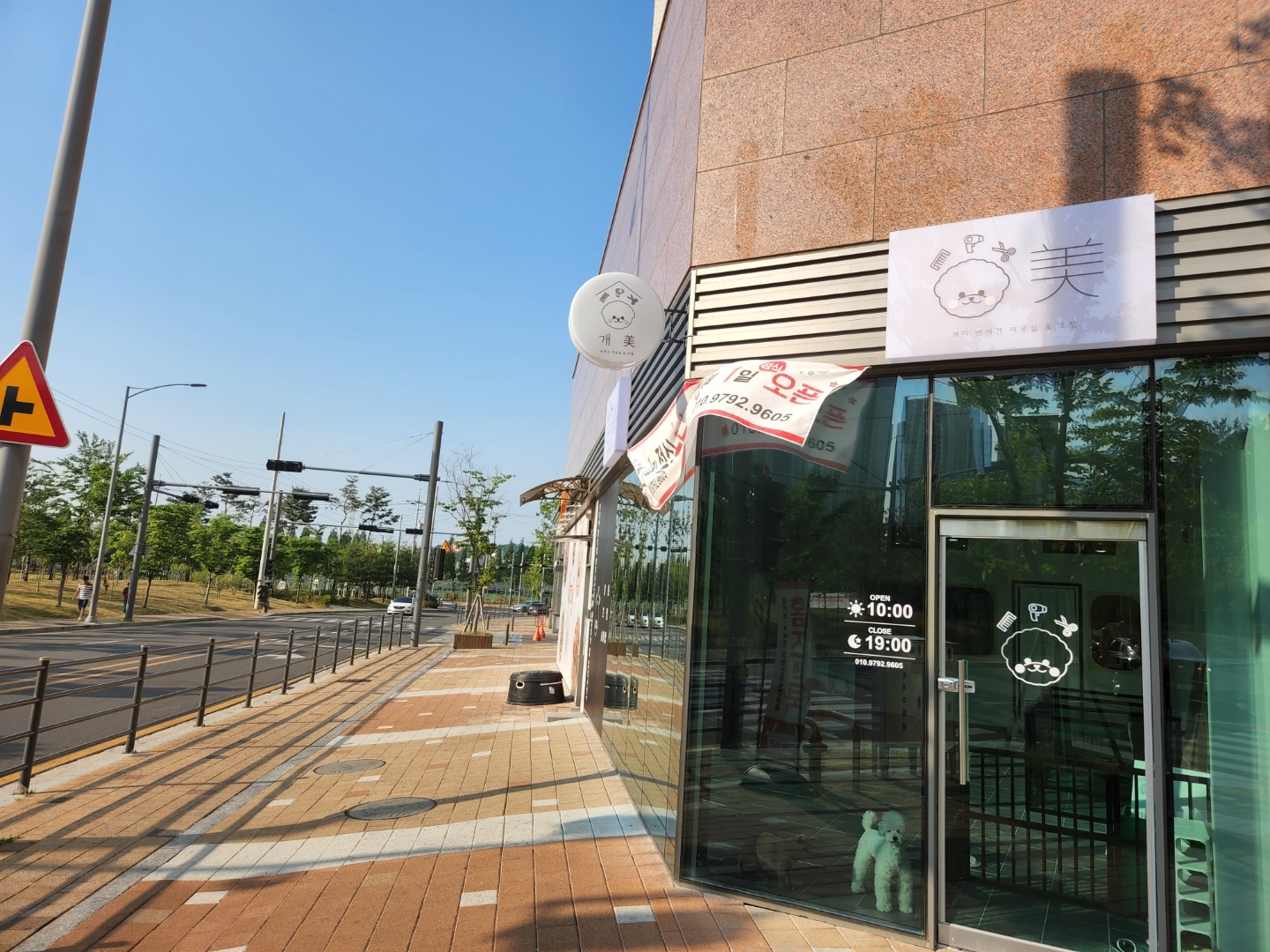 개미애견미용실 대표 이미지