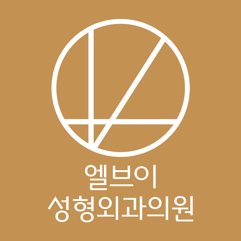 엘브이성형외과의원