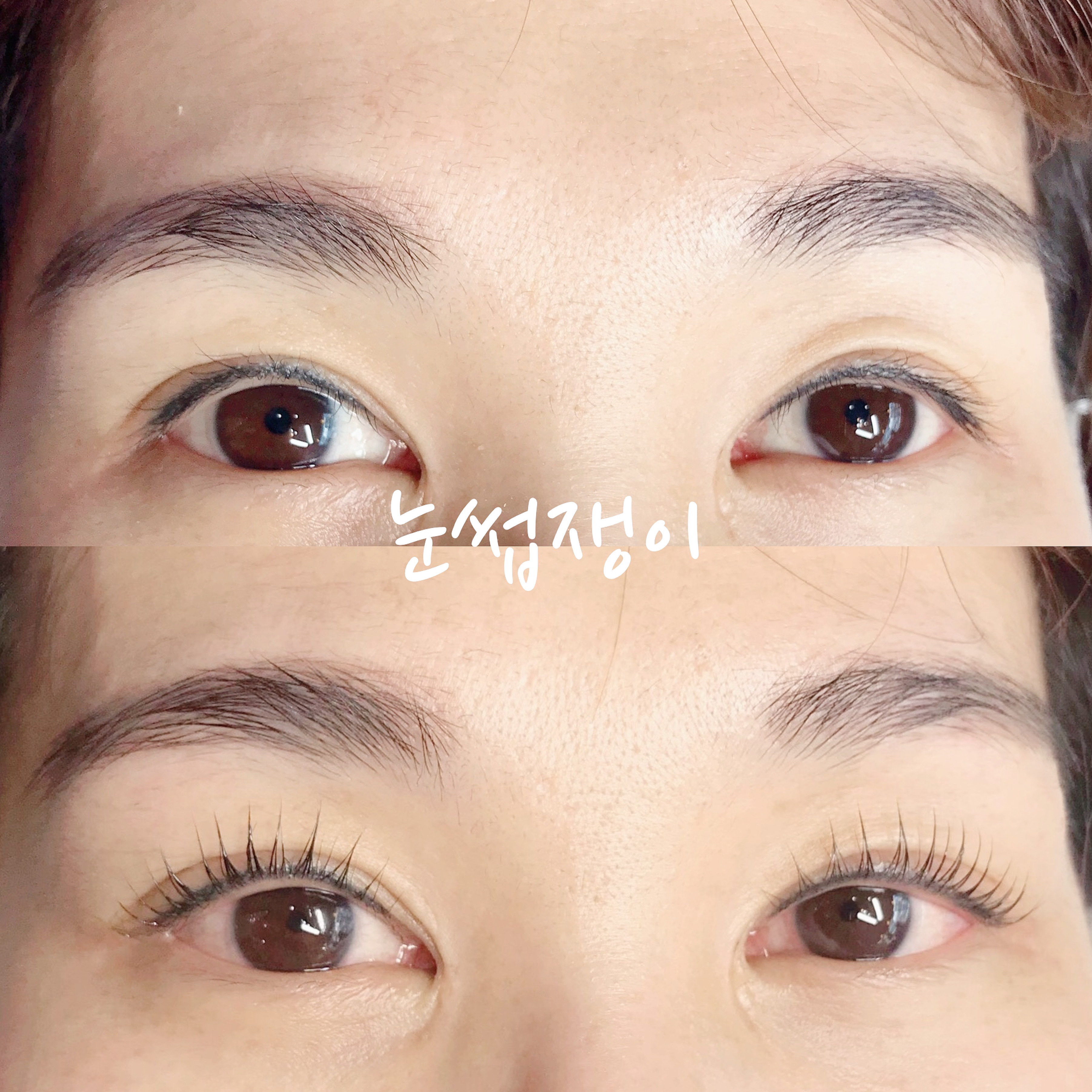 눈썹쟁이 대표 이미지