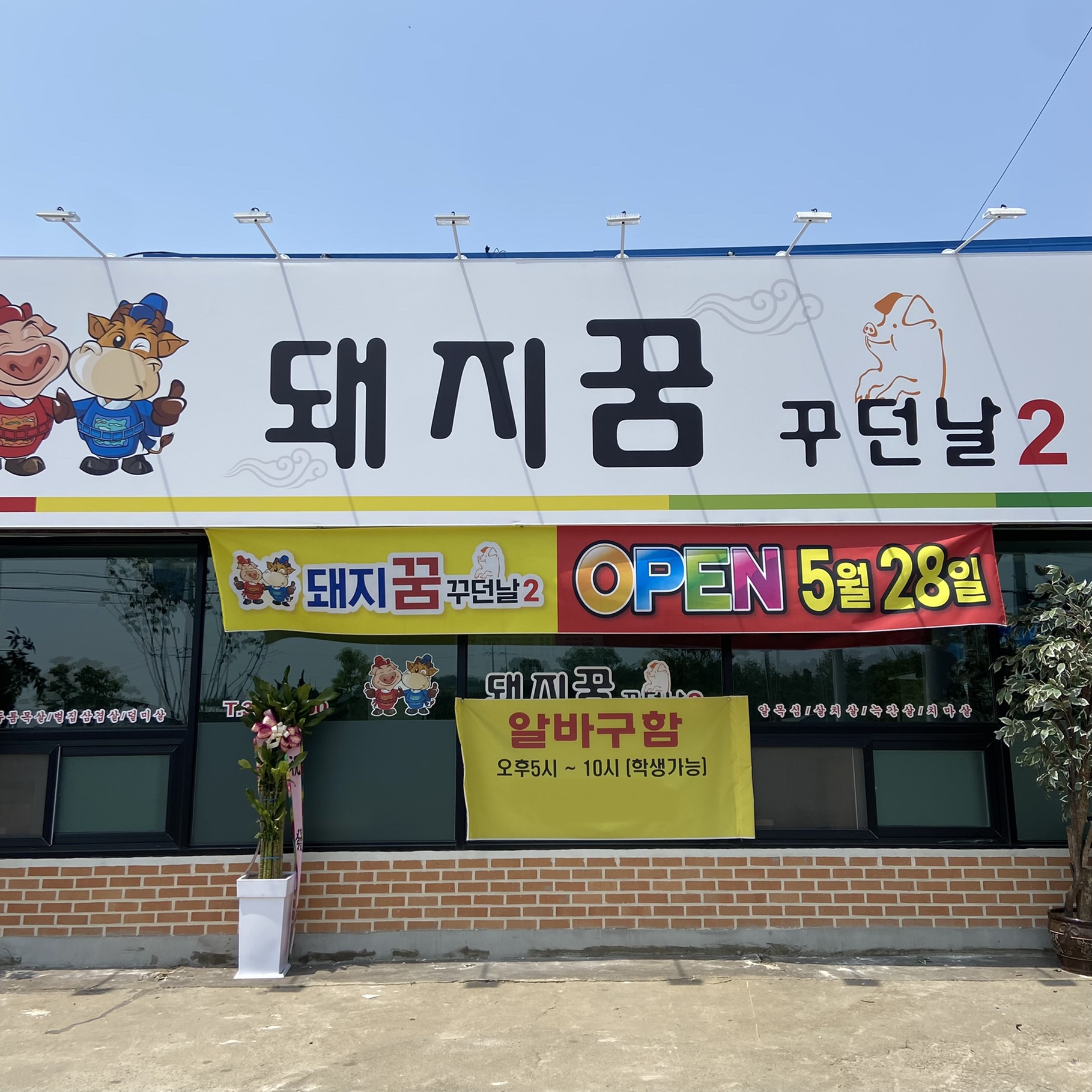 돼지꿈꾸던날2
