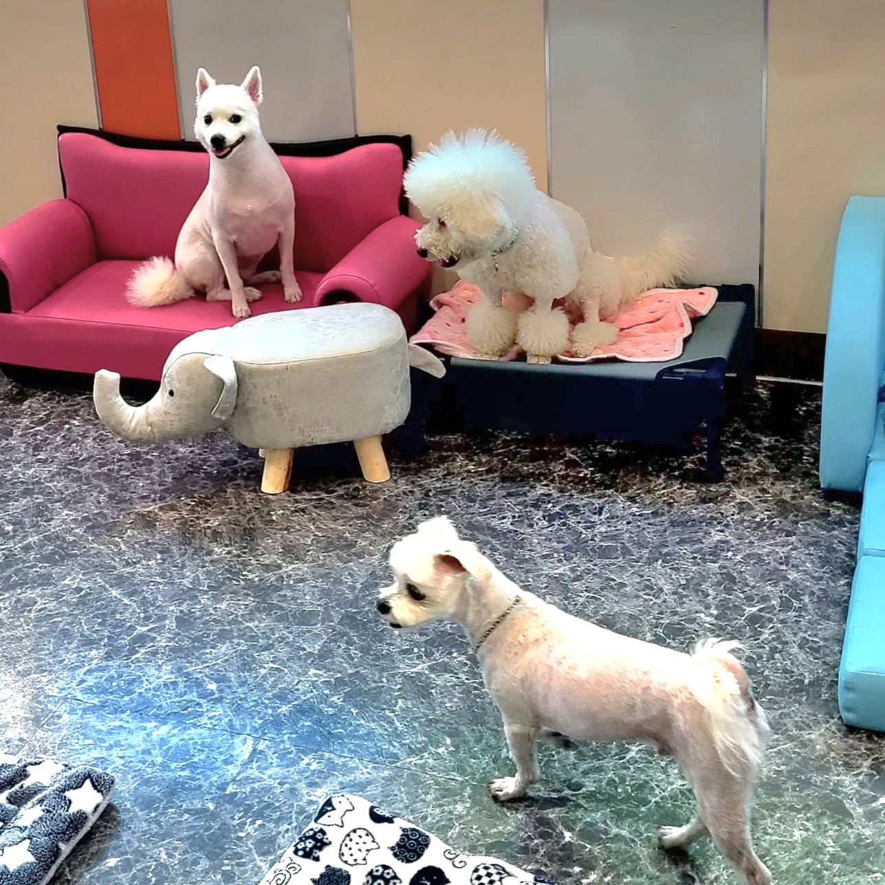 개린이집 대표 이미지