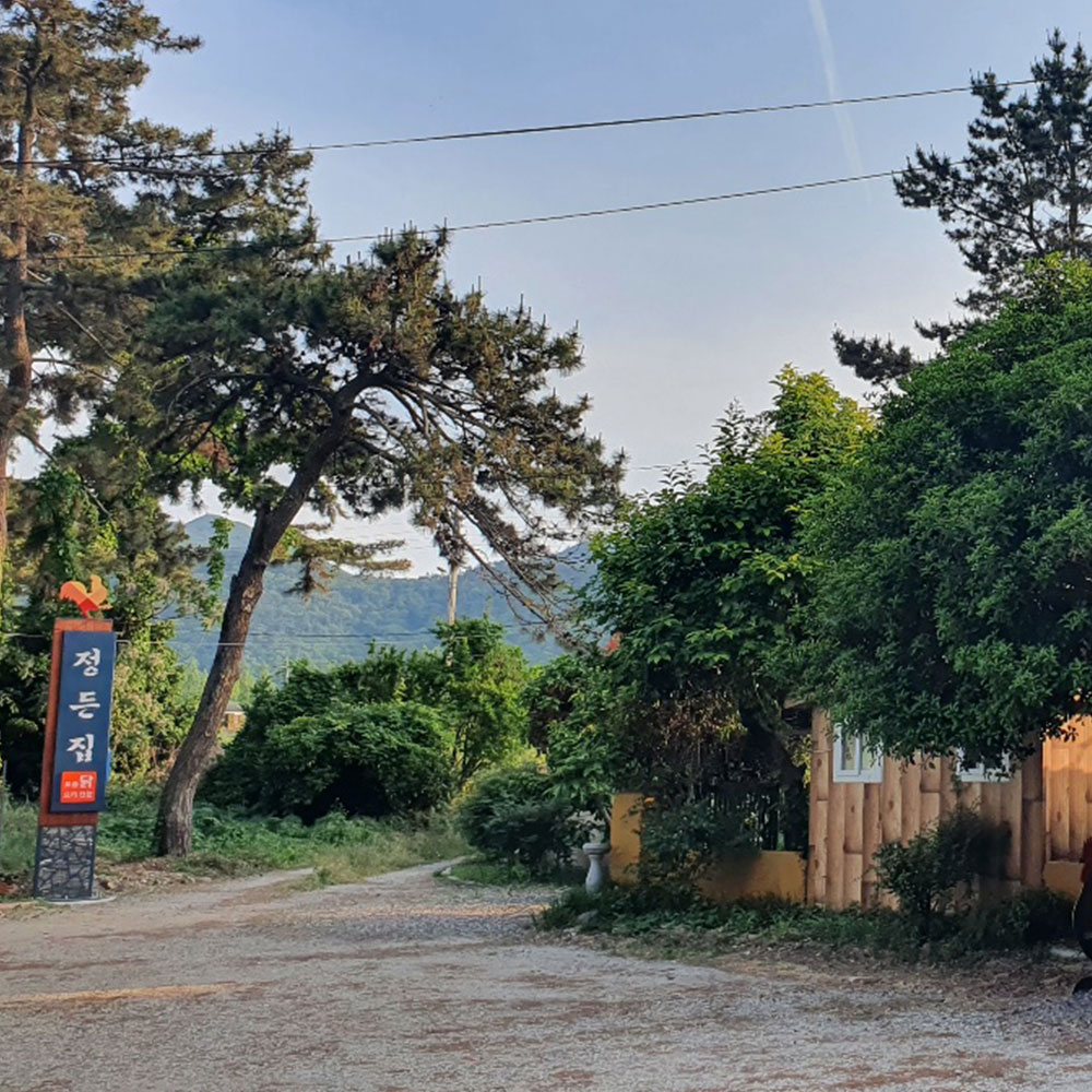 정든집