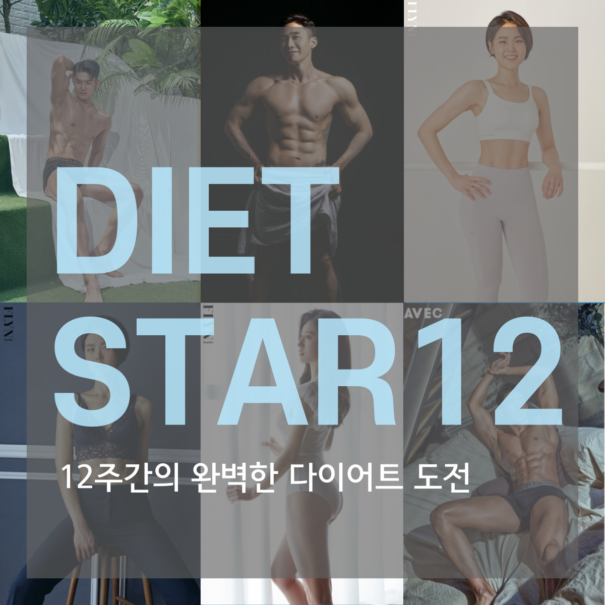 스타휘트니스246