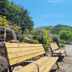 I(아이)캠핑