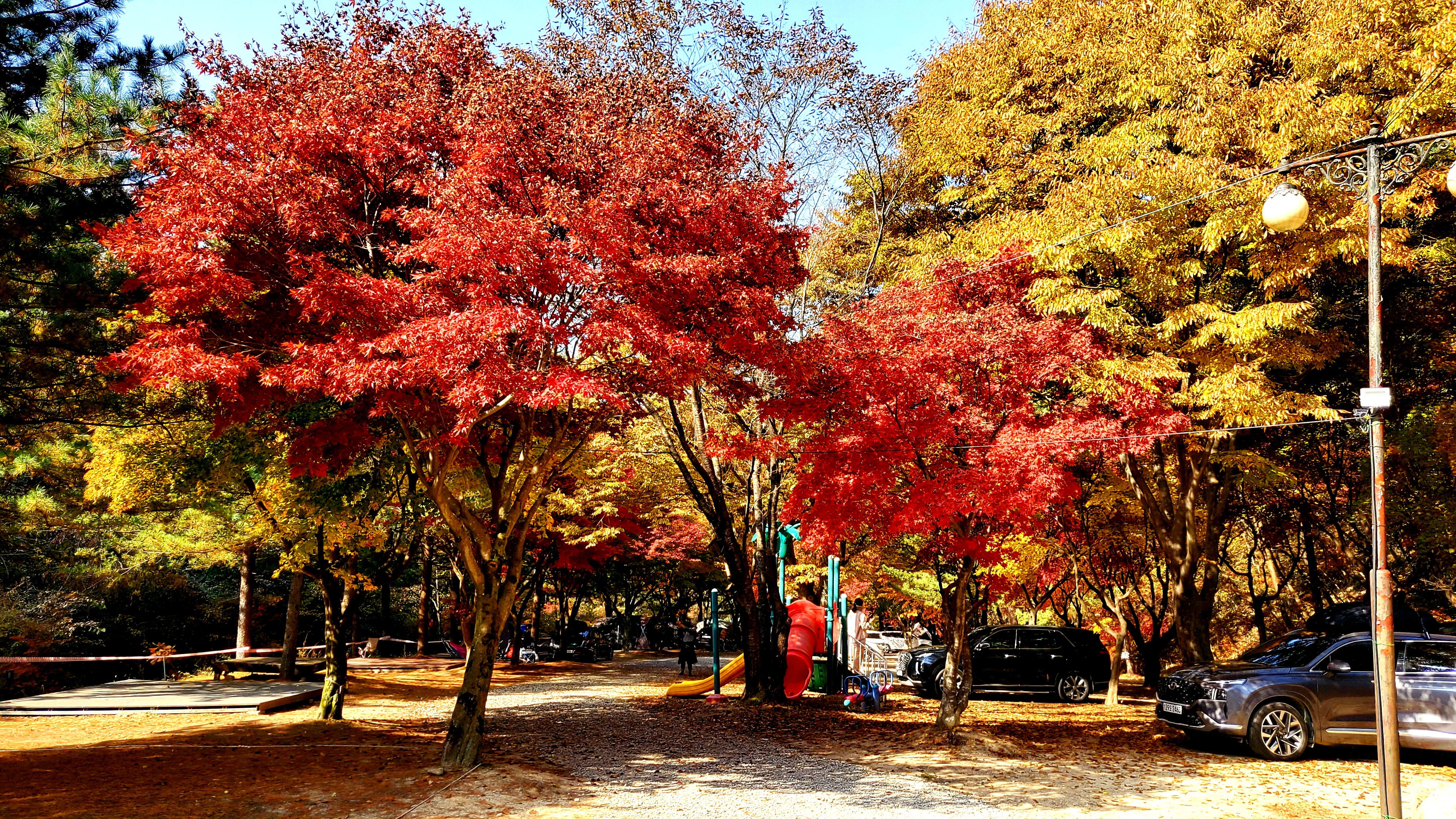 속리산숲속캠핑장