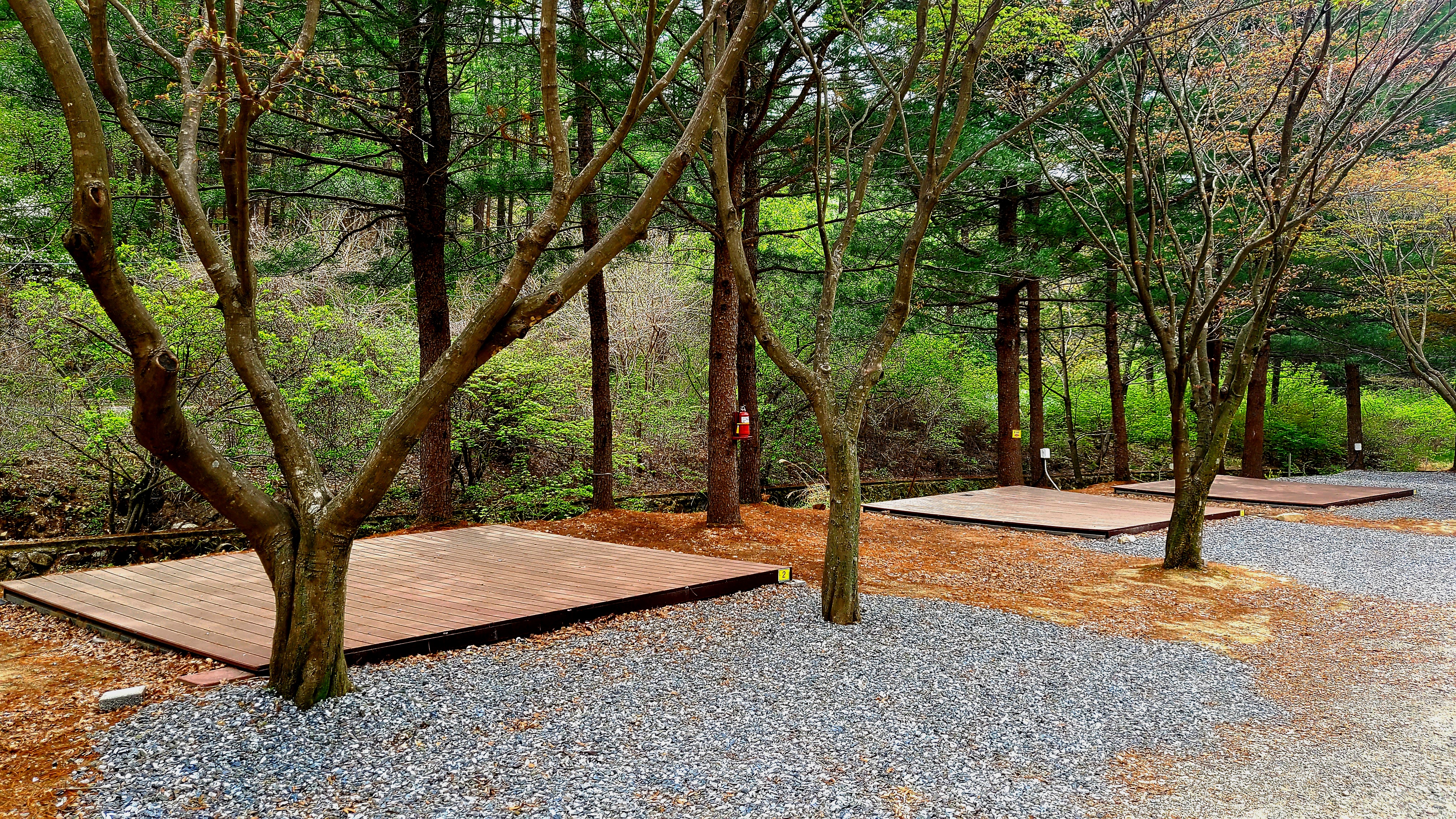 속리산숲속캠핑장