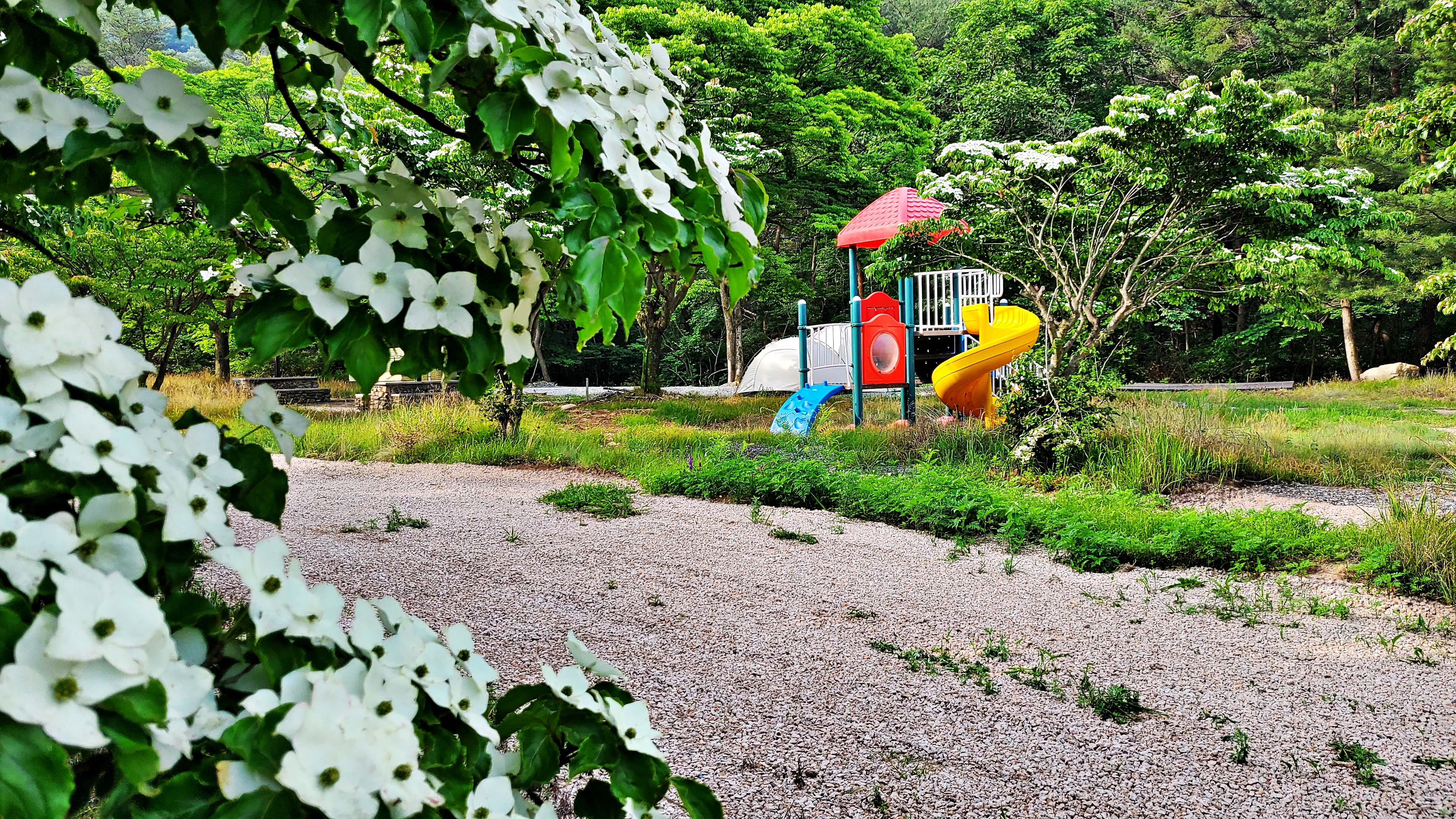 속리산숲속캠핑장