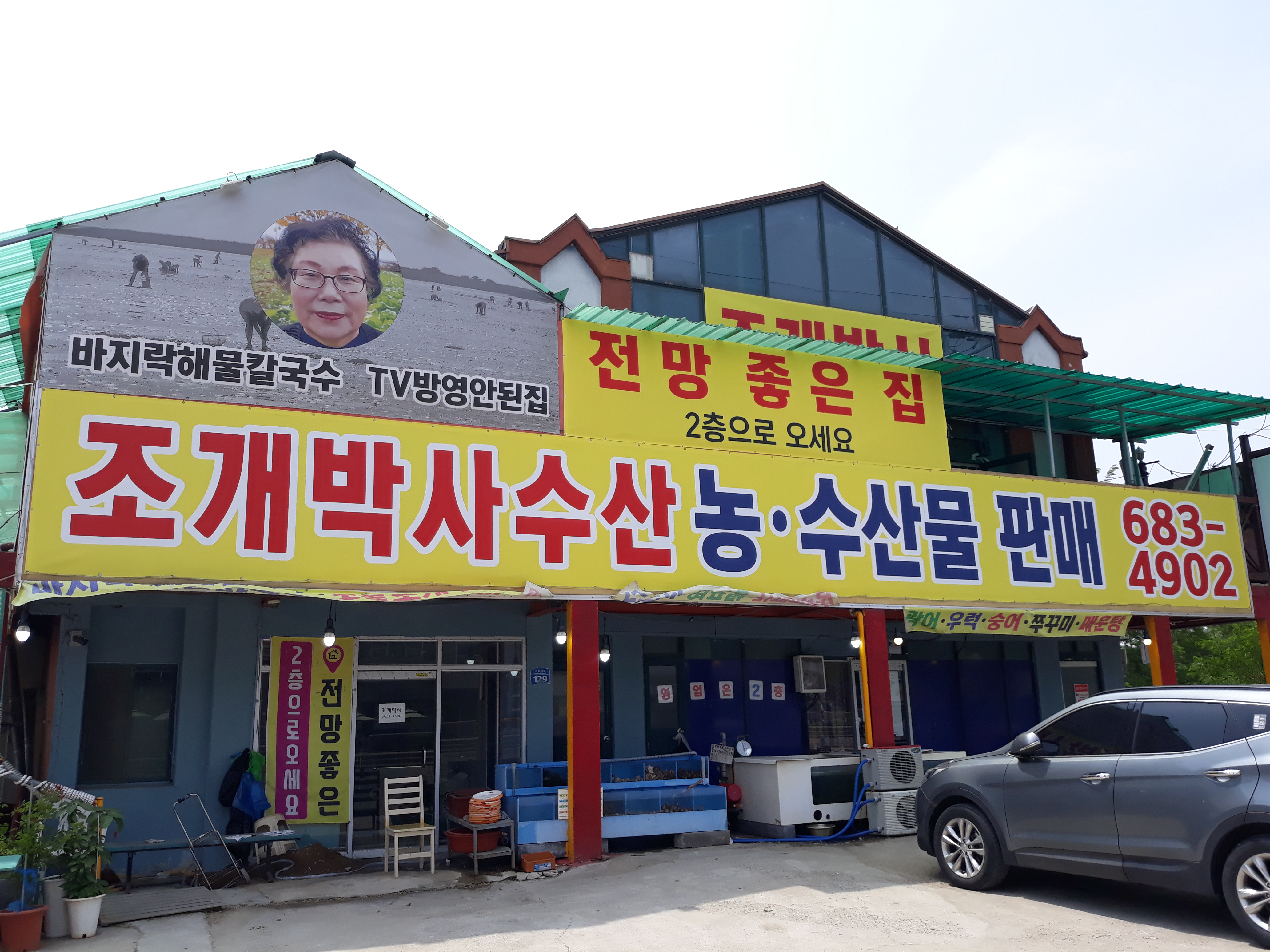 조개박사