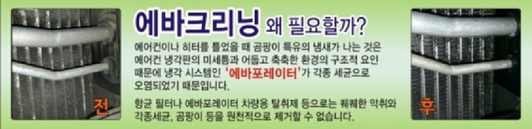 차량토탈케어서비스카매니저