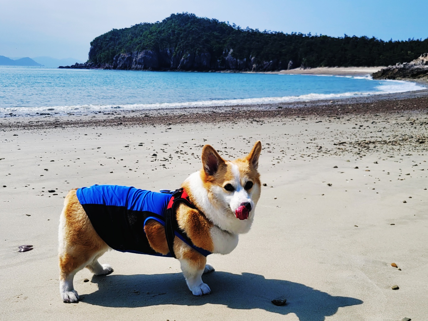 관리도길민박