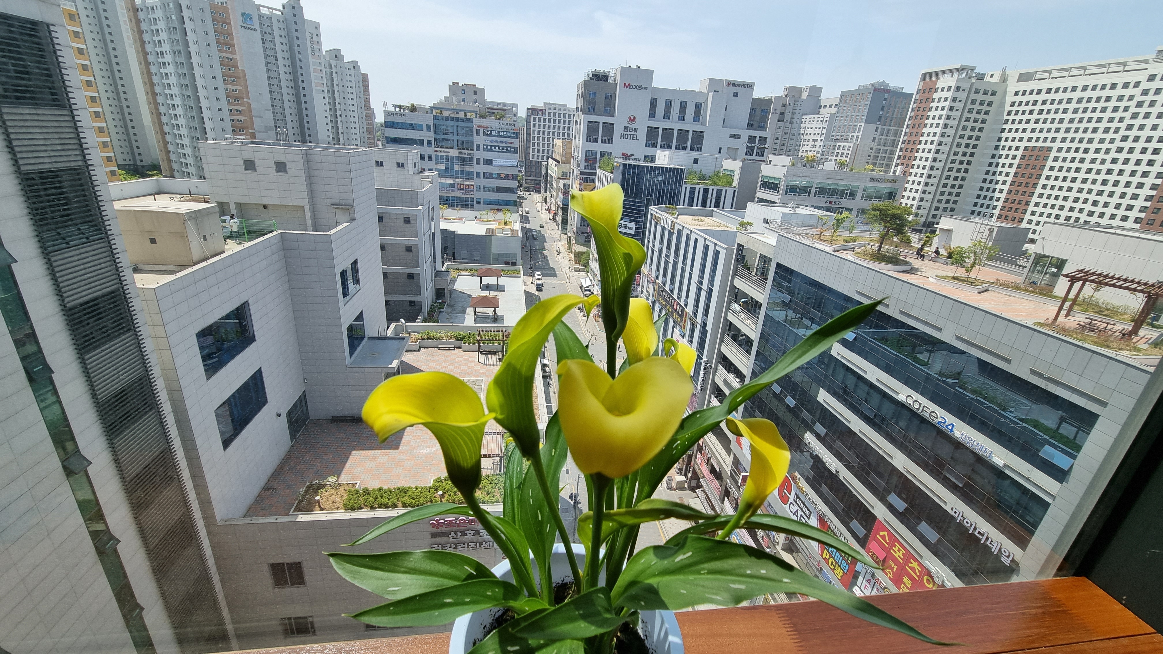 프렌즈스크린 카페앤골프