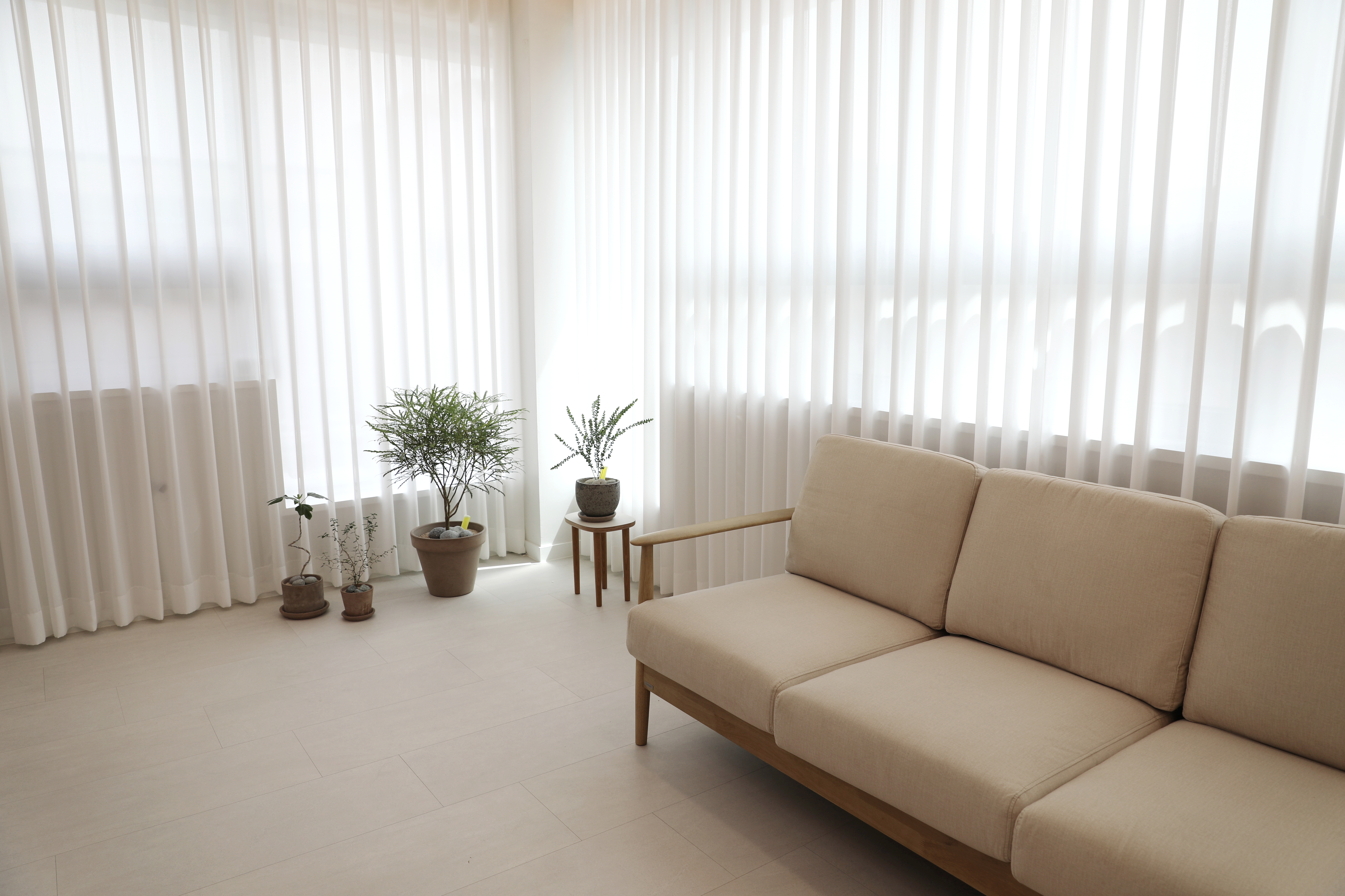 5번째 스튜디오 사진