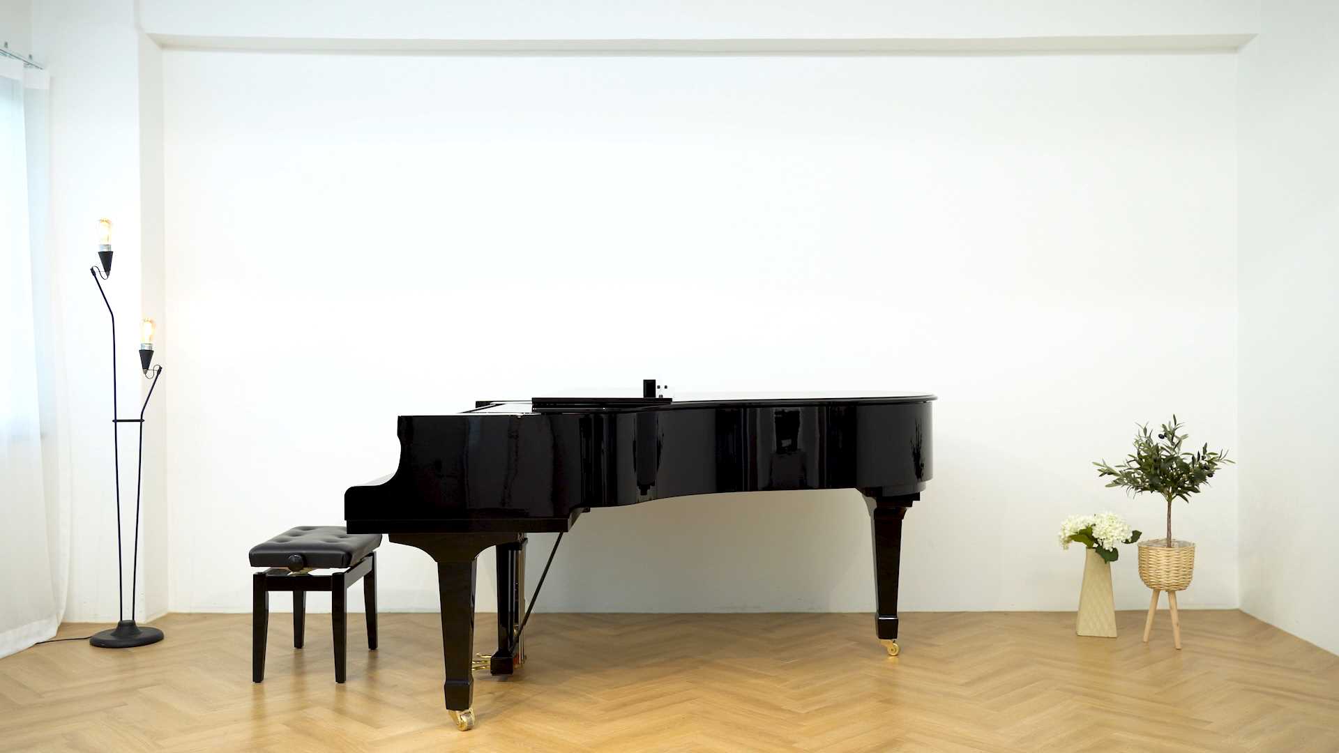 5번째 스튜디오 사진