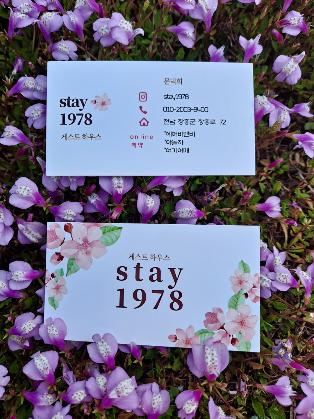 스테이1978
