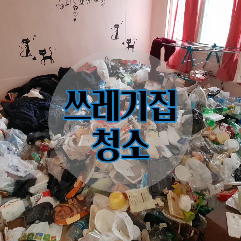특수청소 제로클린