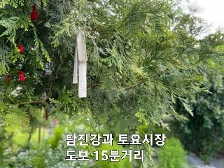 스테이1978