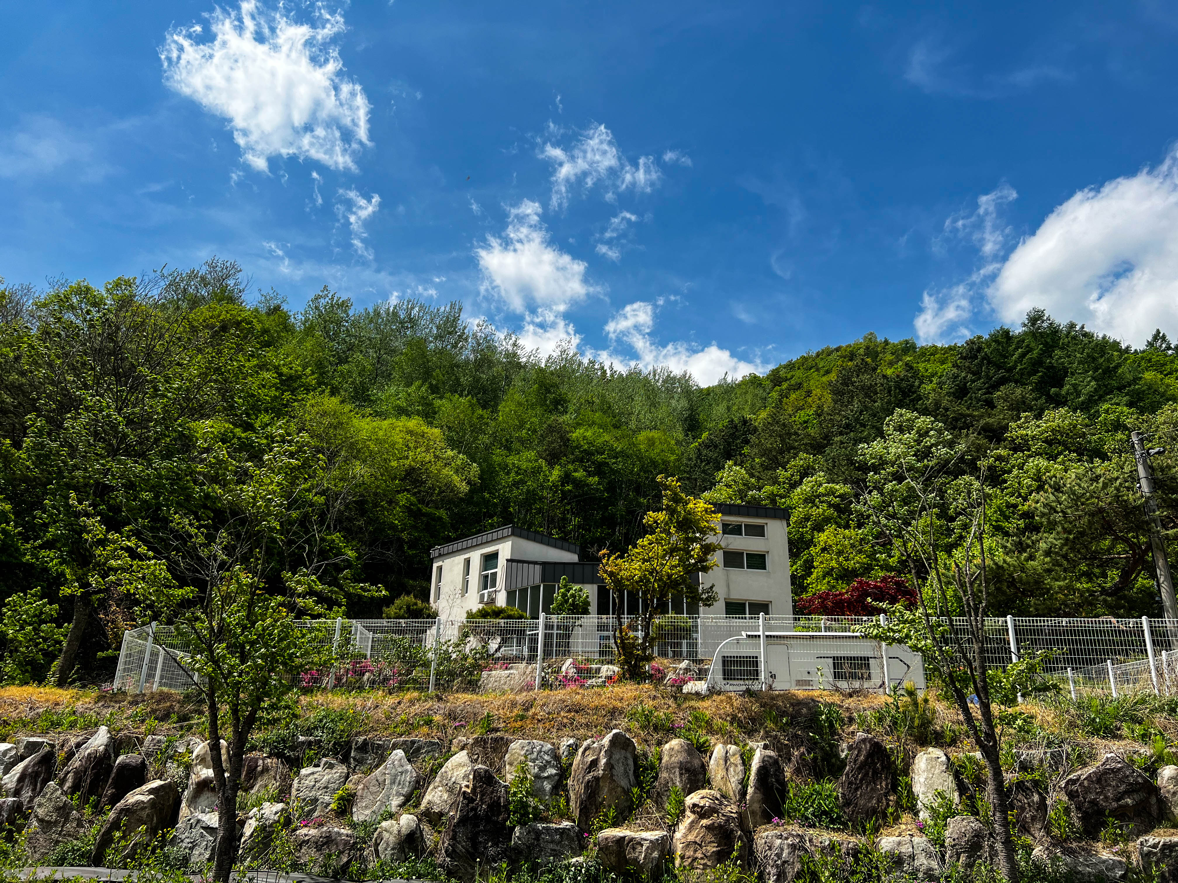 사진 2