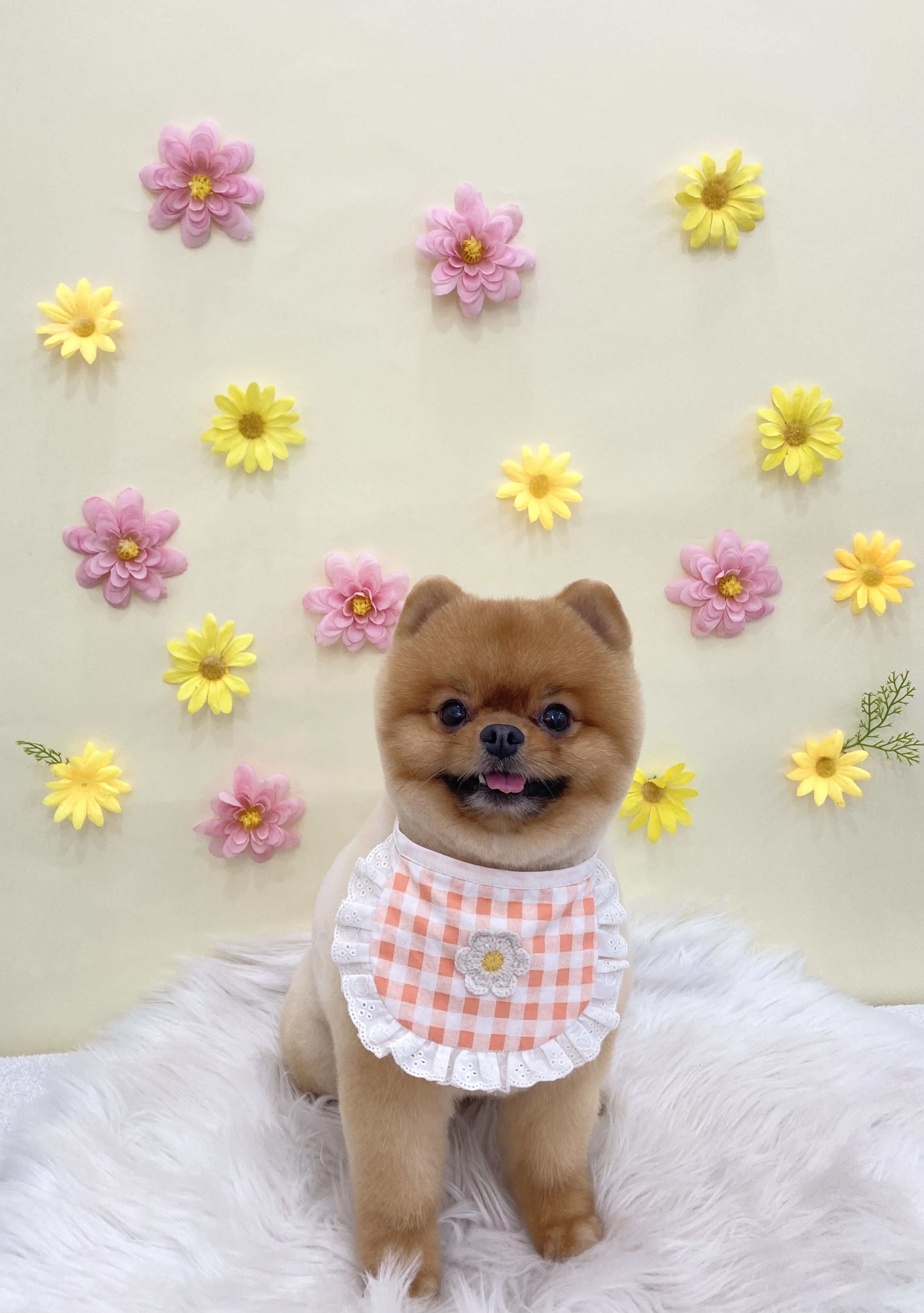 더,예쁘개 대표 이미지