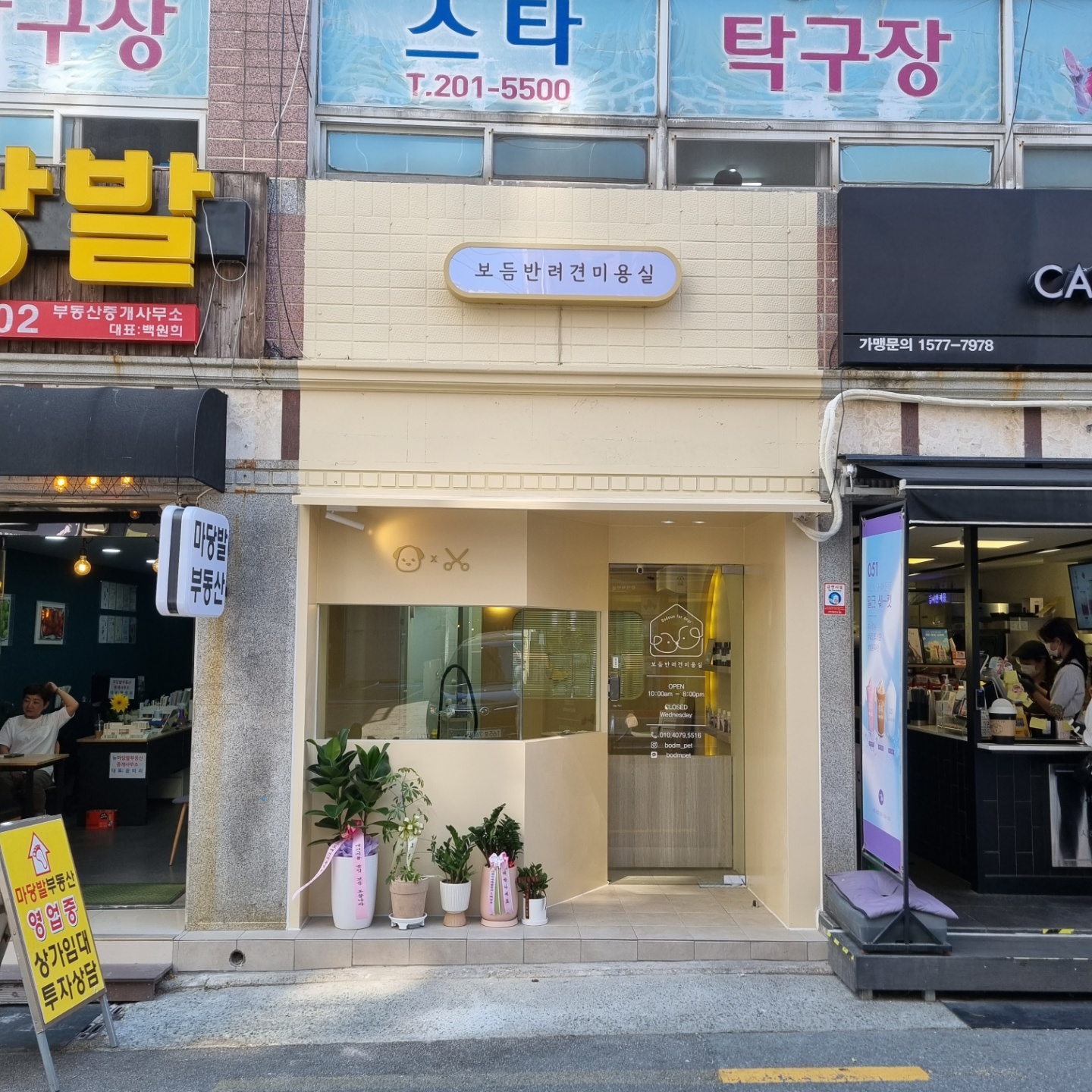 보듬 반려견미용실 하단당리본점