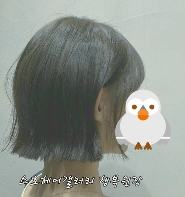 소호 헤어갤러리