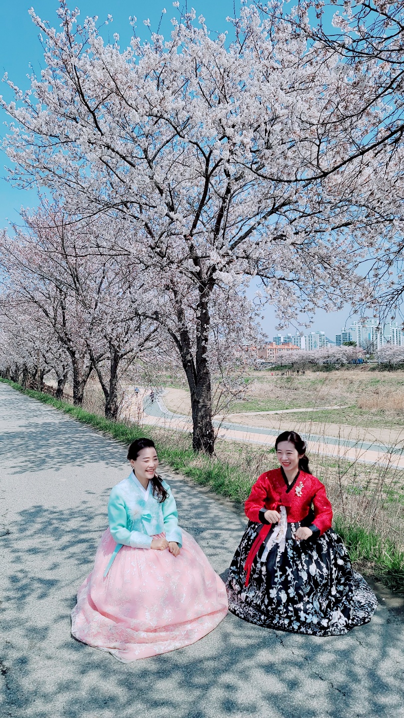 황비혼수