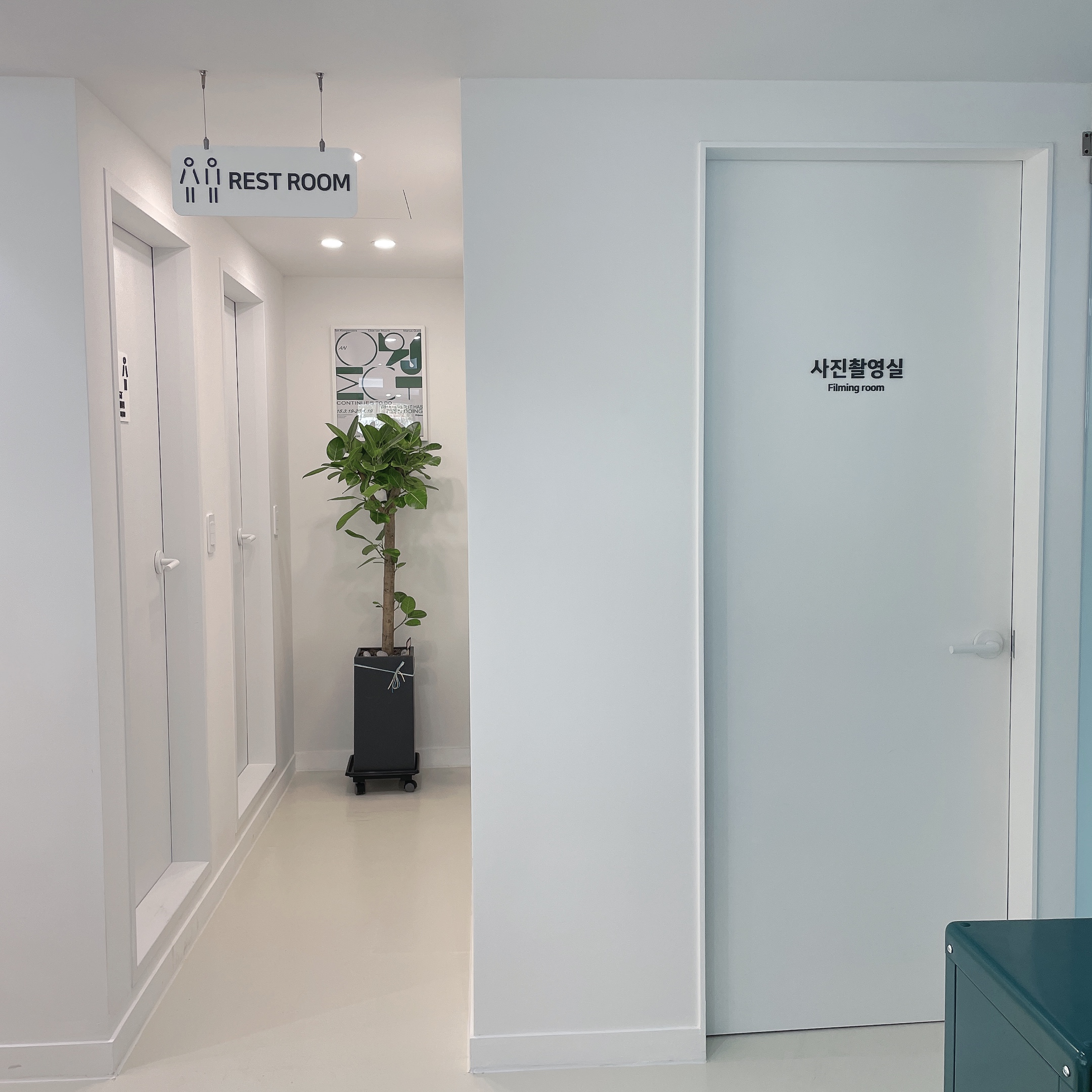 모디헤어플란트의원 대표 이미지