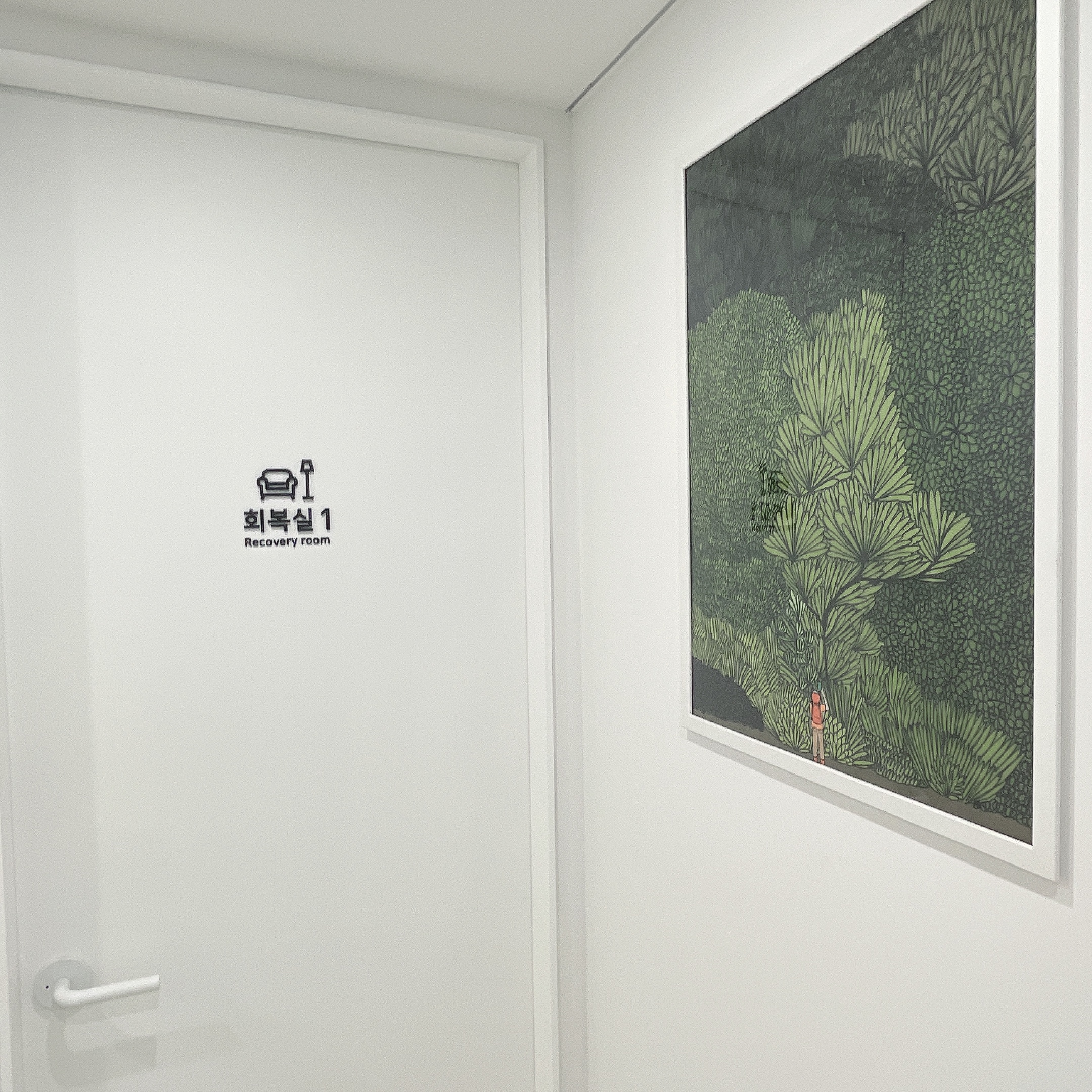 모디헤어플란트의원 대표 이미지