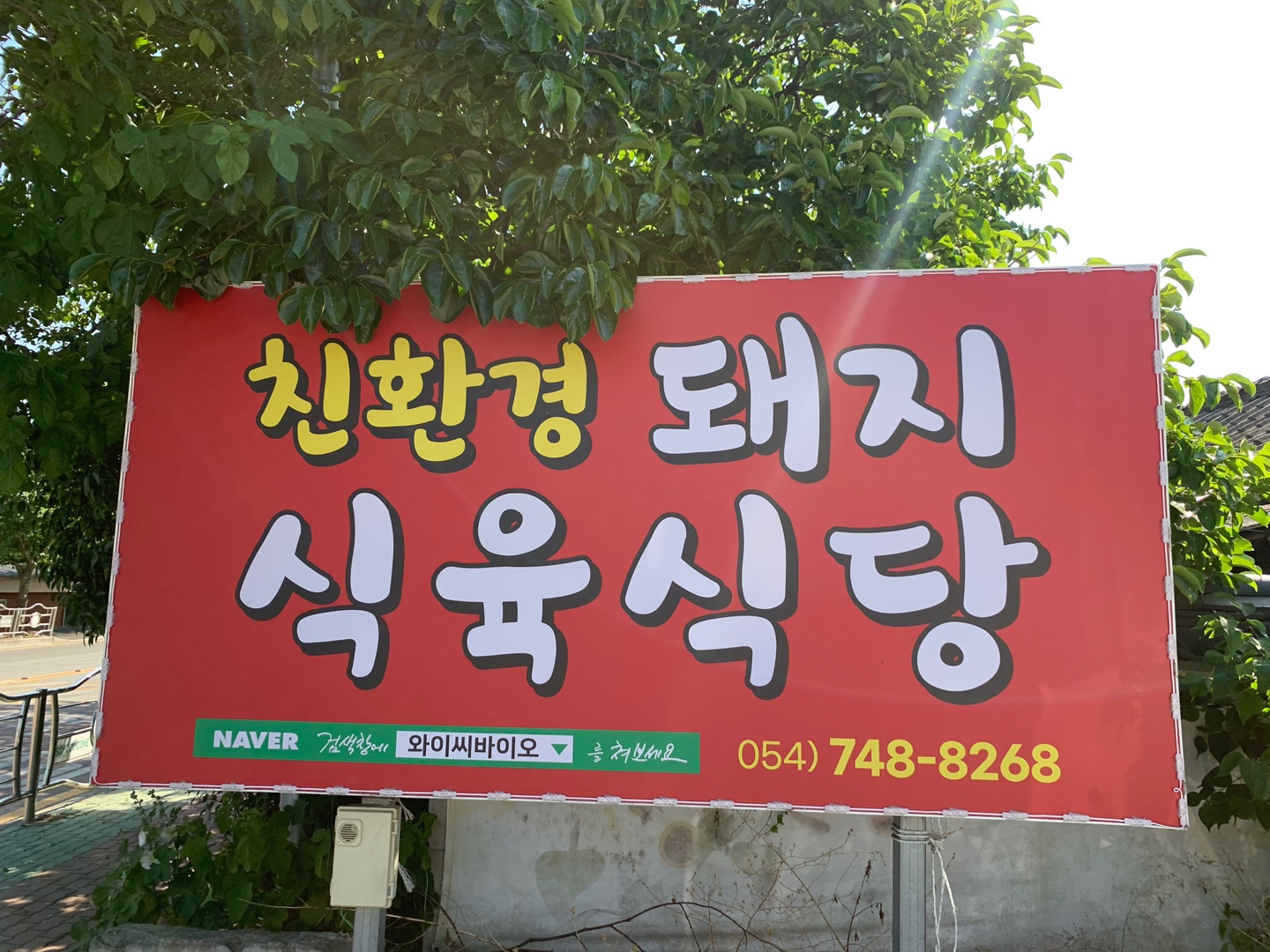 친환경돼지식육식당