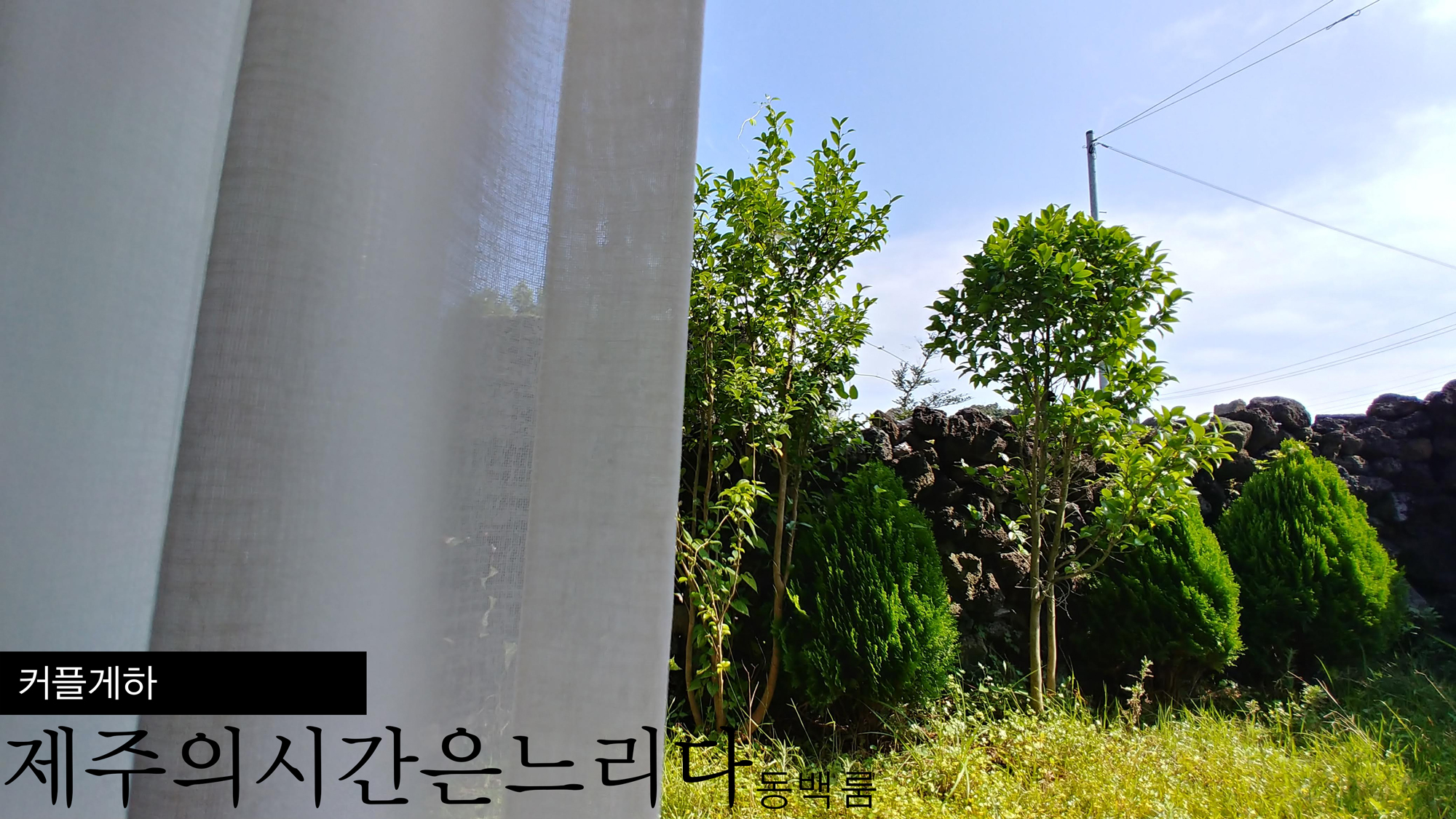 제주의시간은느리다