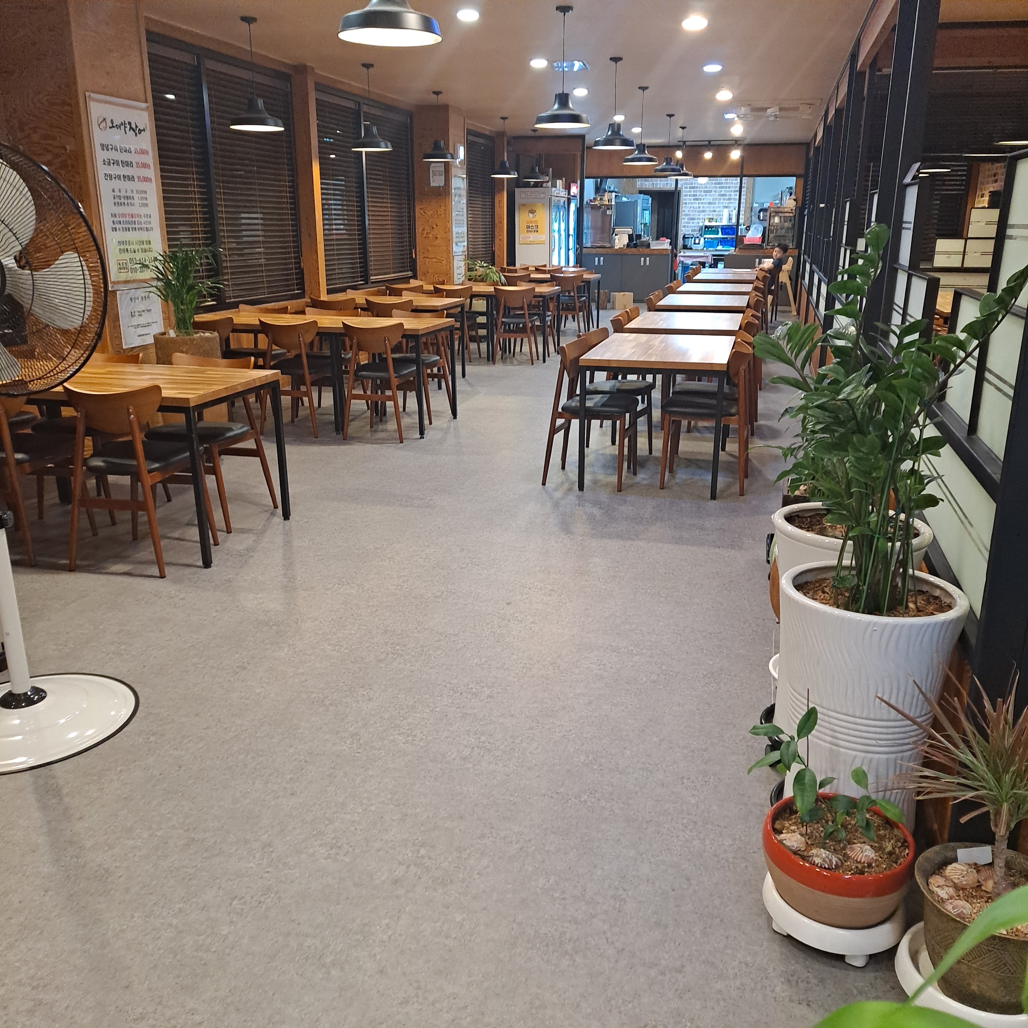 오대양장어