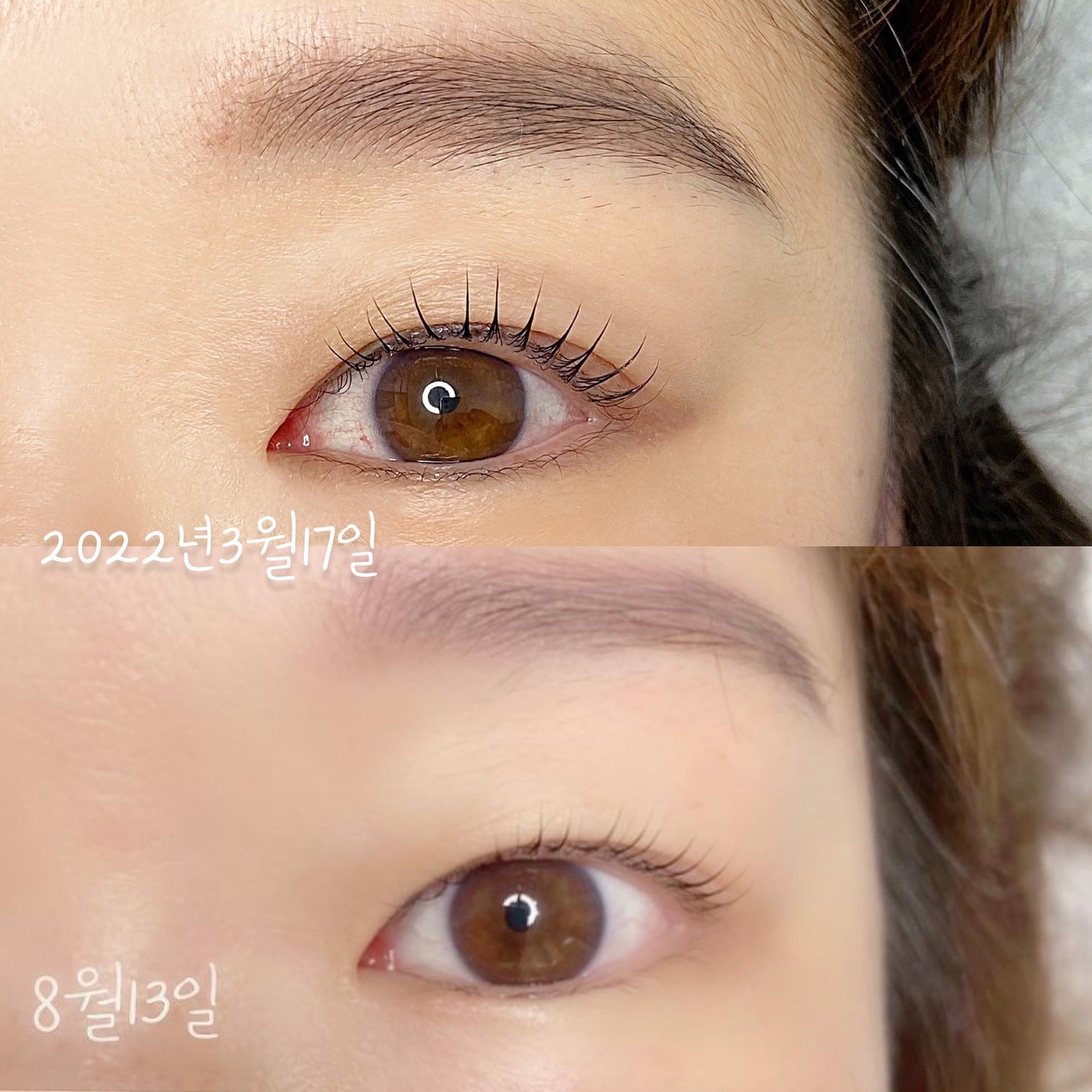 살롱드방