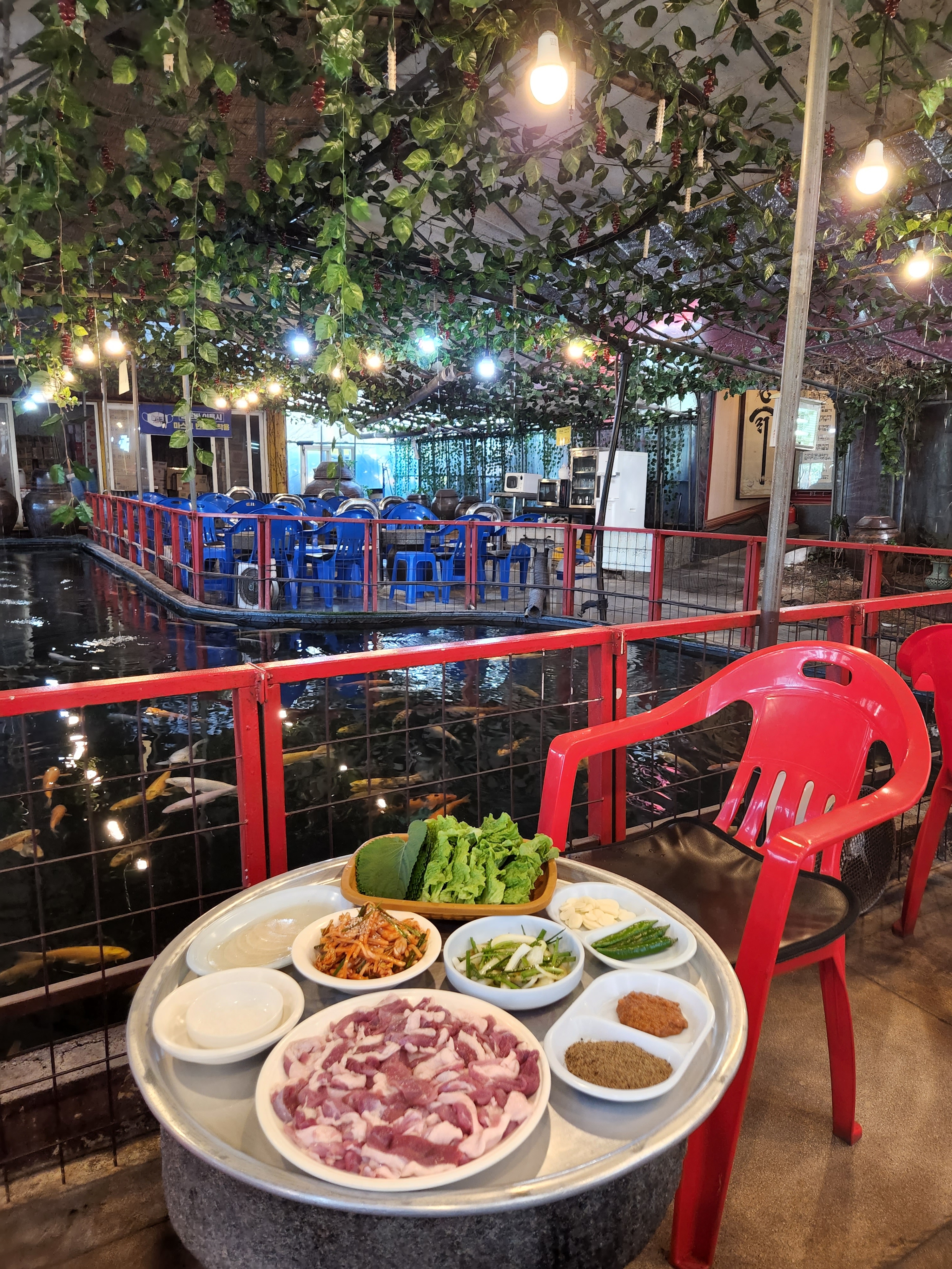 꽃무지야생화촌 2