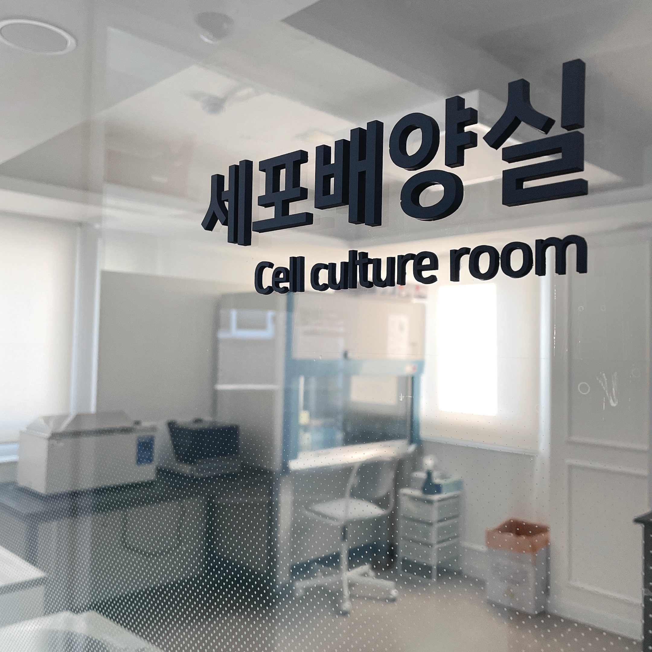 모디헤어플란트의원 대표 이미지