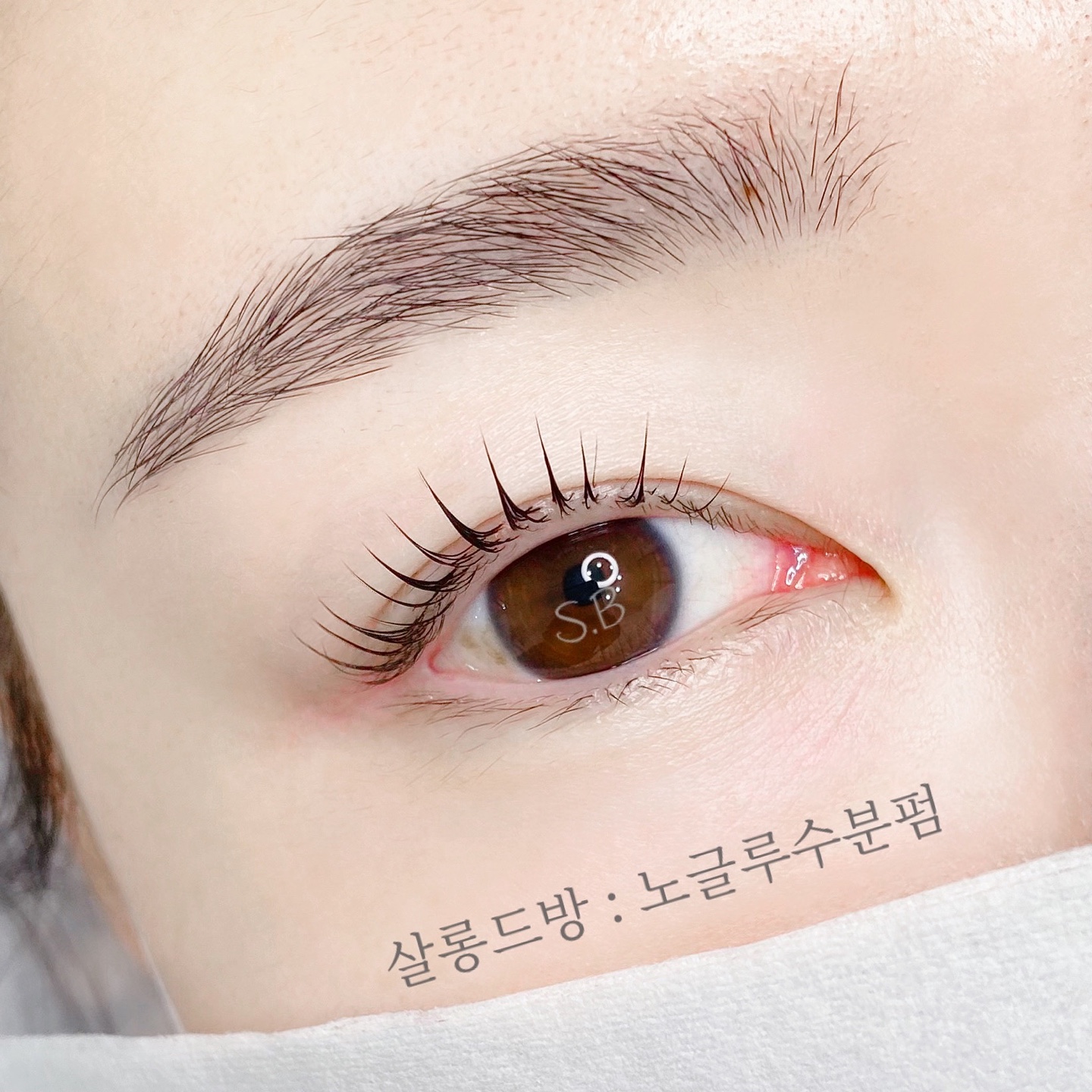 살롱드방